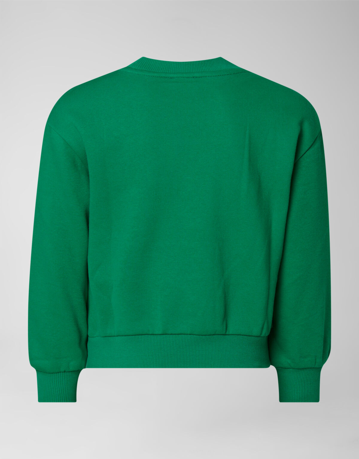 Artwork Pullover Grün SHOEBY GIRLS