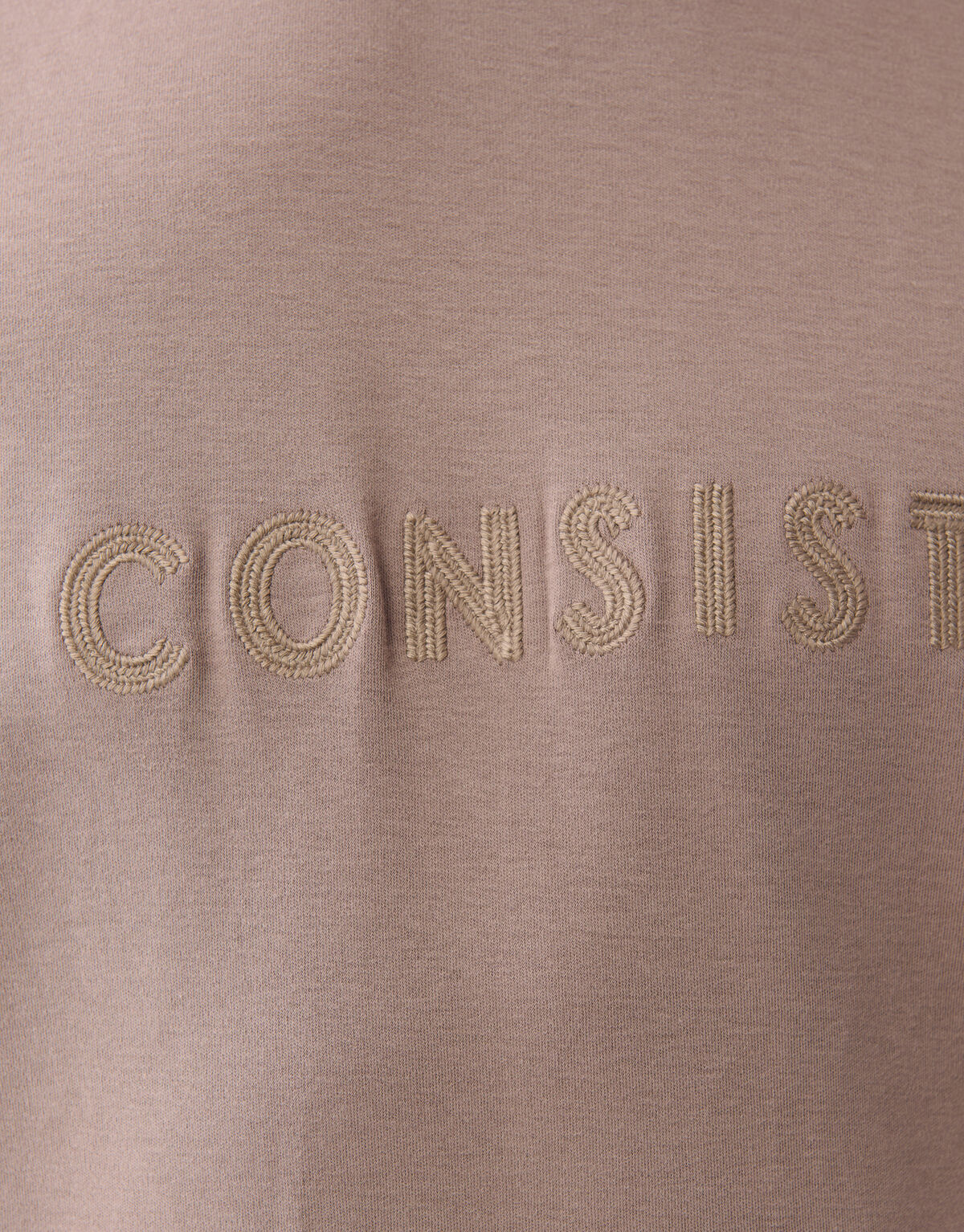 Stickerei Kunstwerk T-shirt Hellbraun SHOEBY MEN