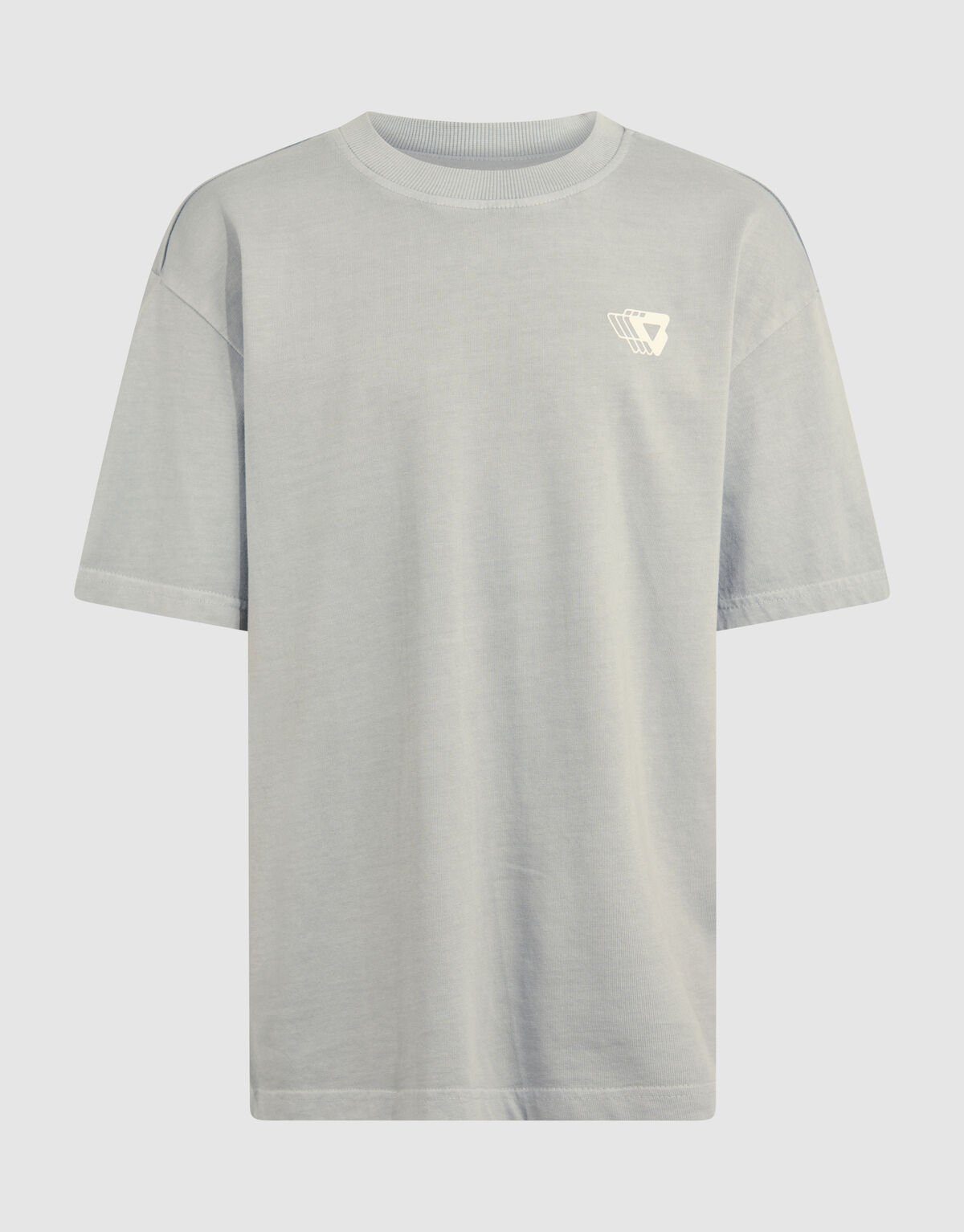 Gewaschenes Logo-T-Shirt Dunkelgrau SHOEBY BOYS