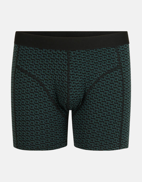 Boxershorts mit Logo Dunkelgrün SHOEBY ACCESSOIRES