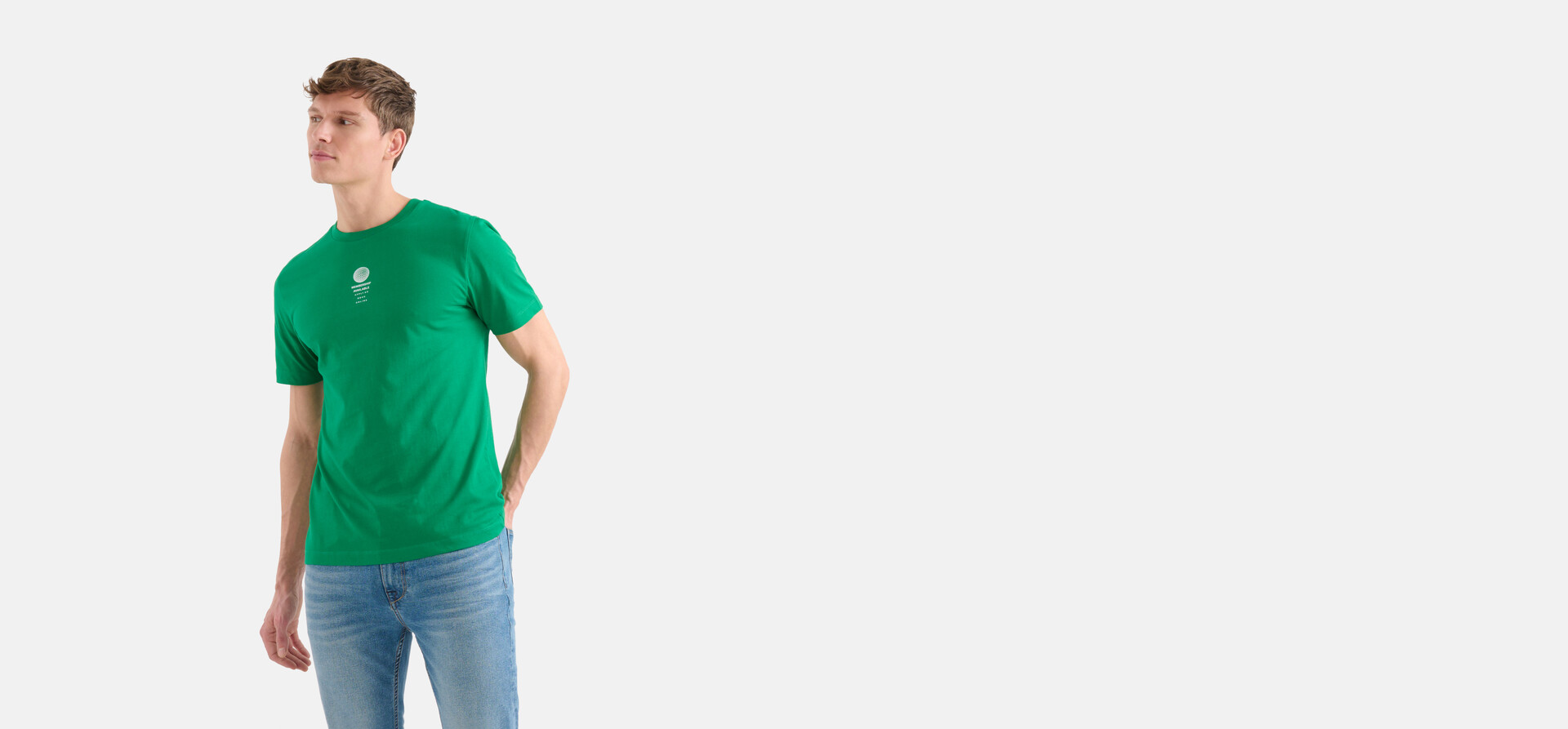 Regular Fit T-Shirt Grün SHOEBY MEN