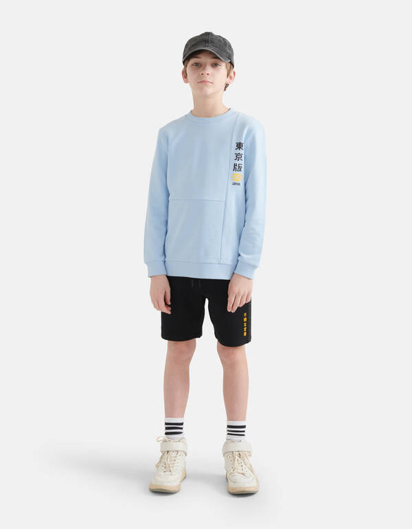 Printed Pullover Hellblau SHOEBY BOYS
