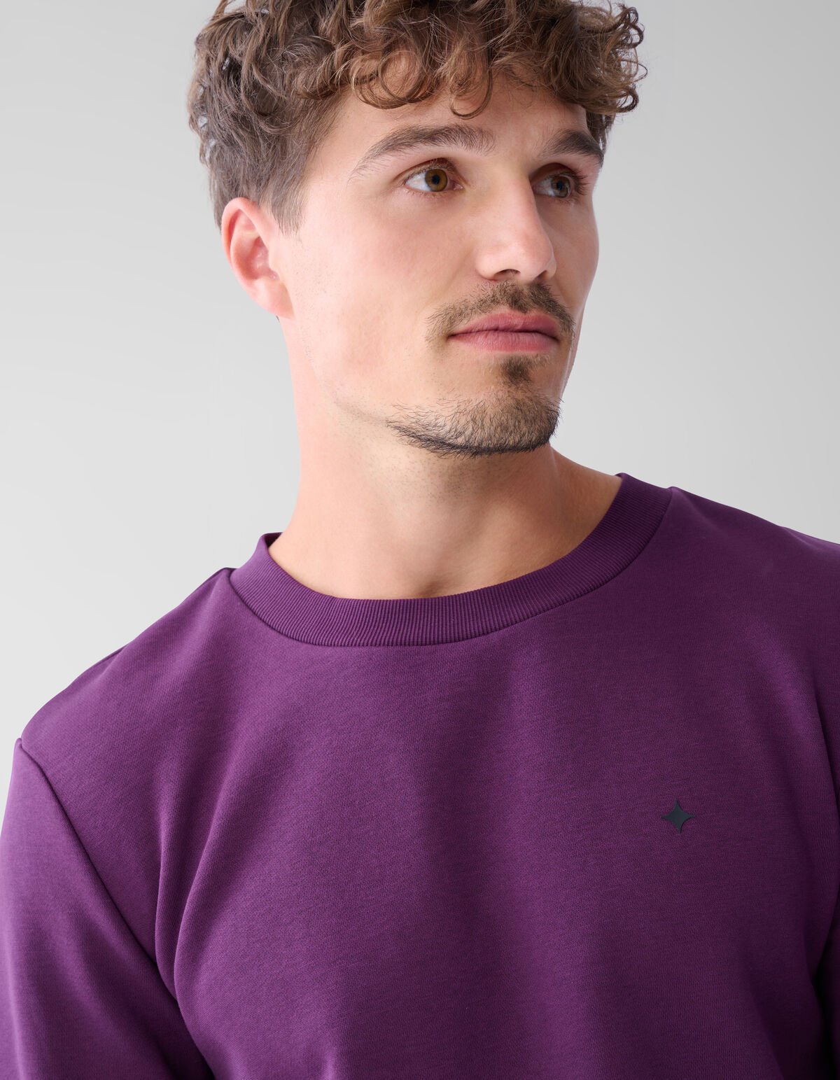 Glitzerpulli Dunkelrot SHOEBY MEN