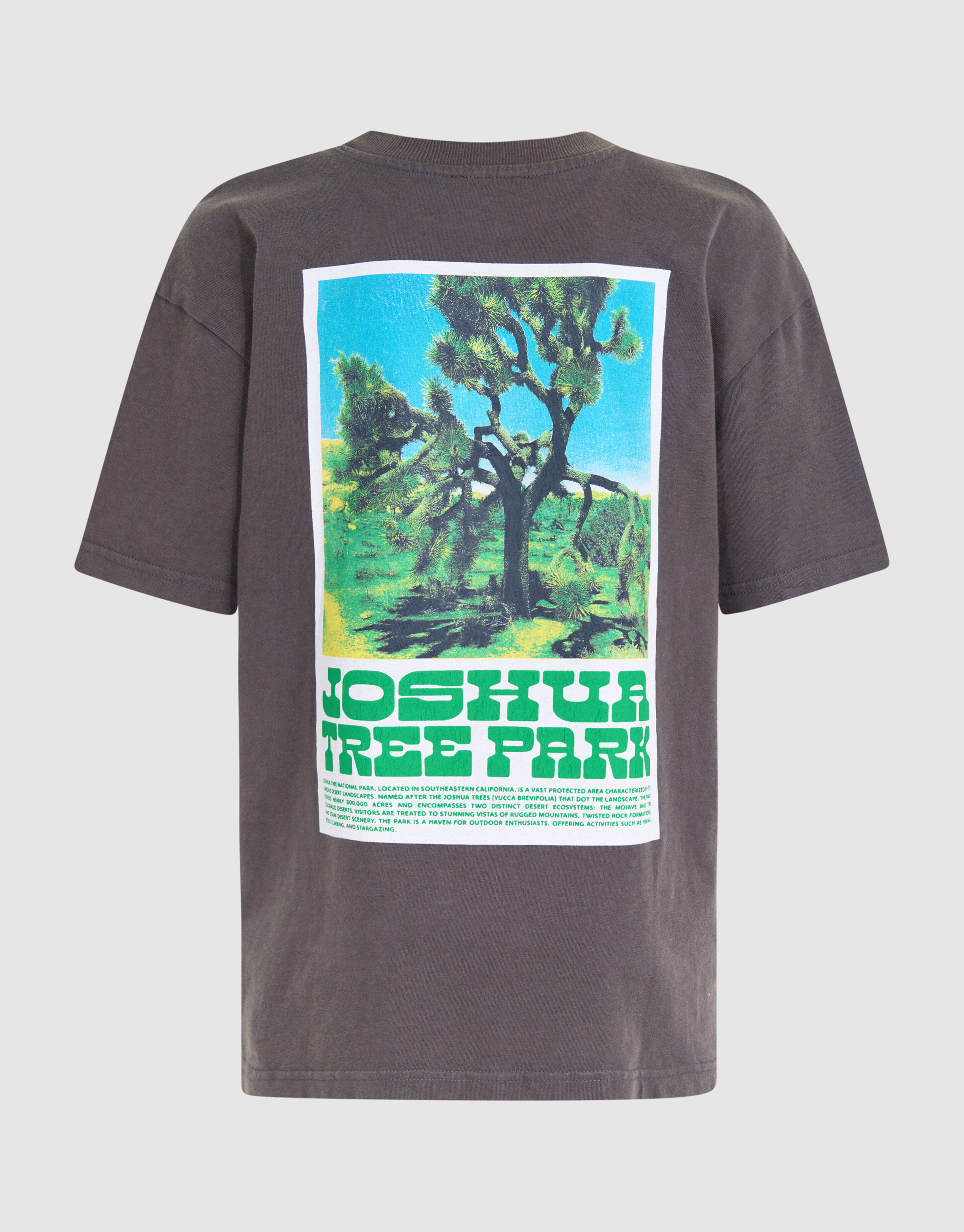 Park Artwork T-Shirt Dark Grey SHOEBY BOYS