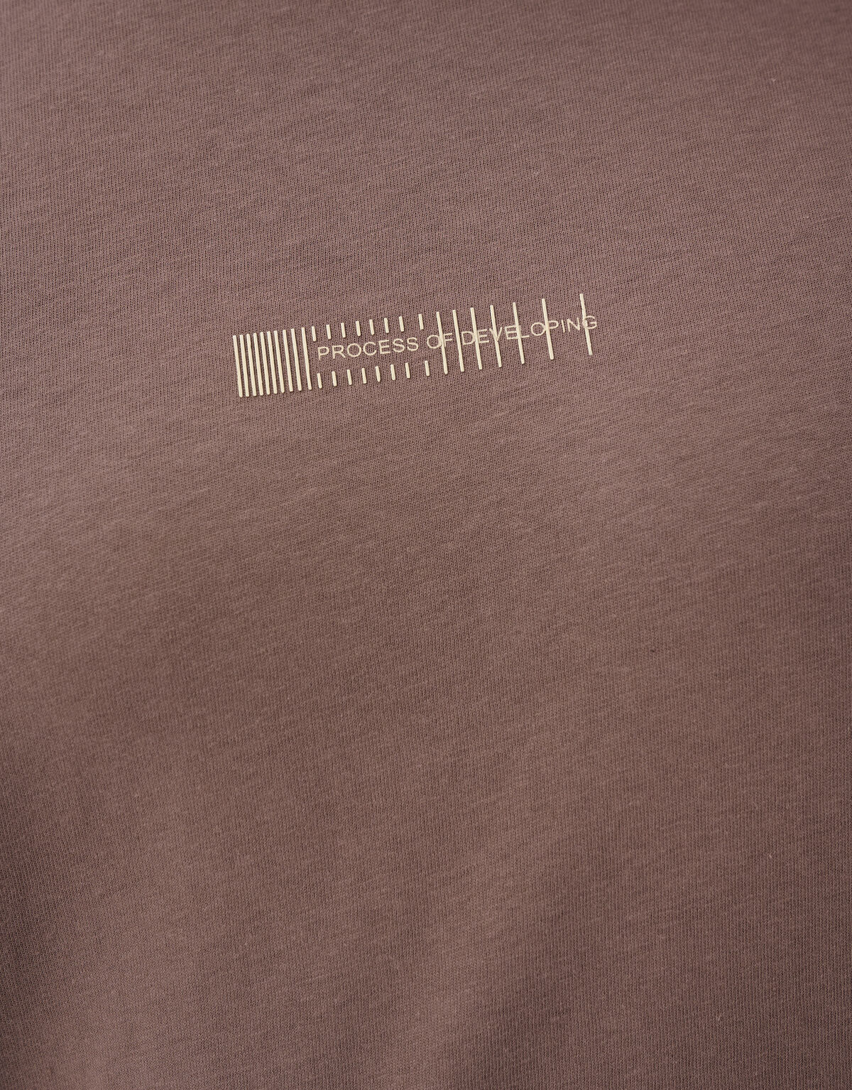 Process T-shirt Bruin SHOEBY MEN