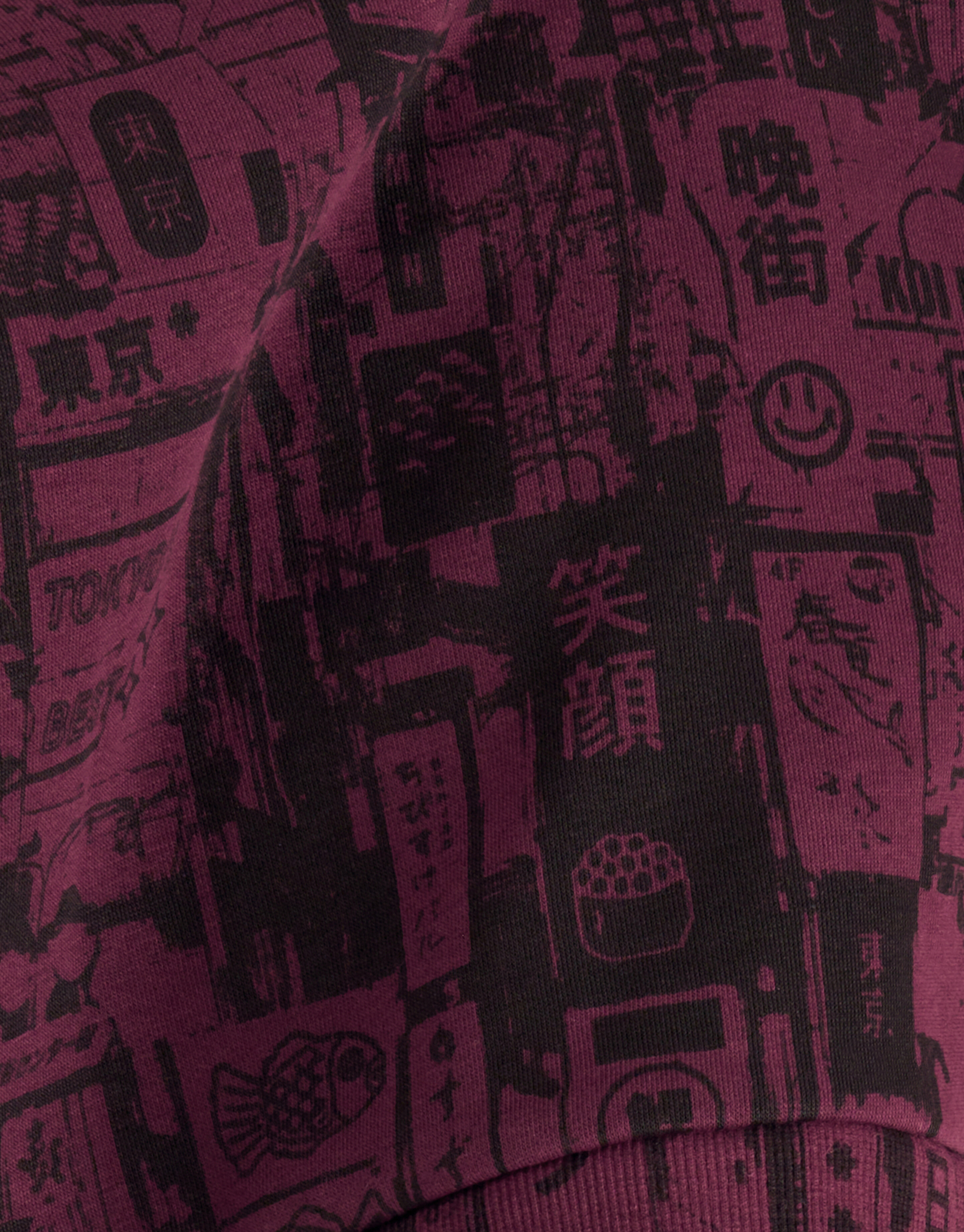 Printed Sweater Bordeaux SHOEBY BOYS
