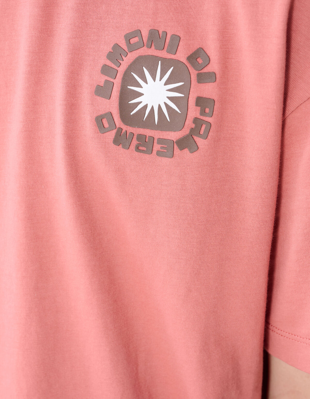 Lemon Artwork T-Shirt Terra SHOEBY BOYS