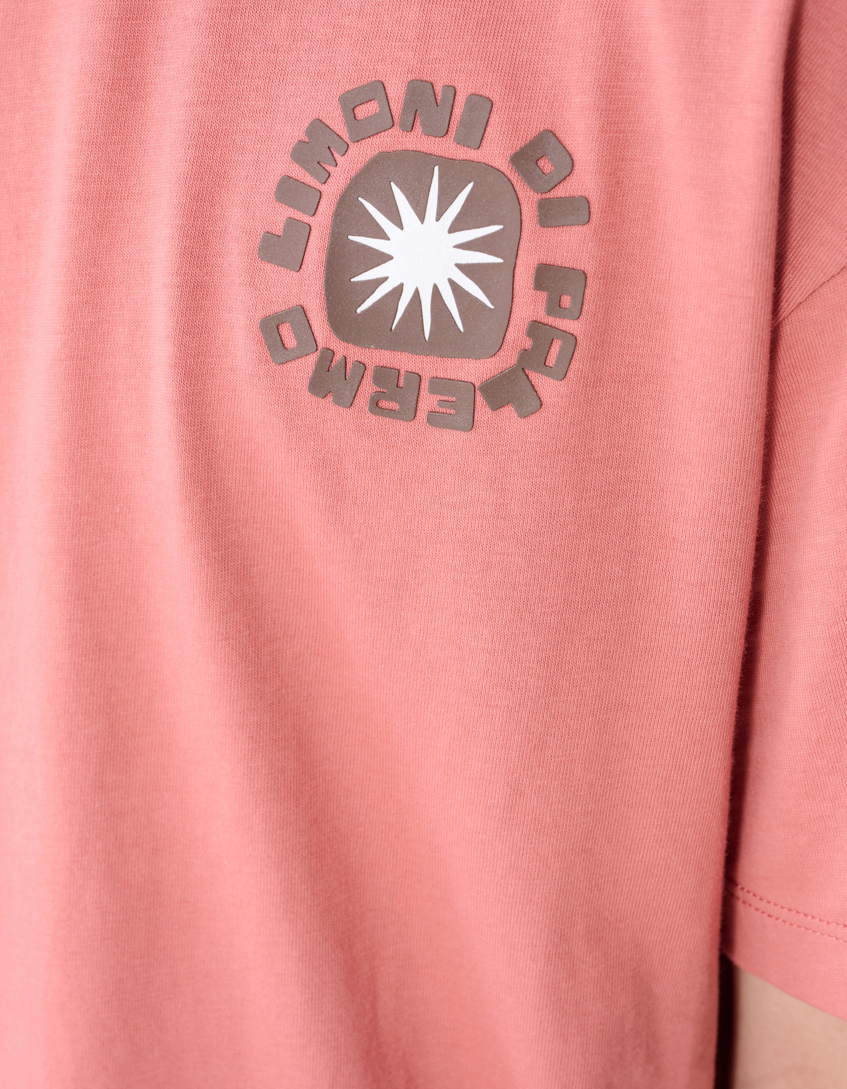 Lemon Artwork T-Shirt Terra SHOEBY BOYS