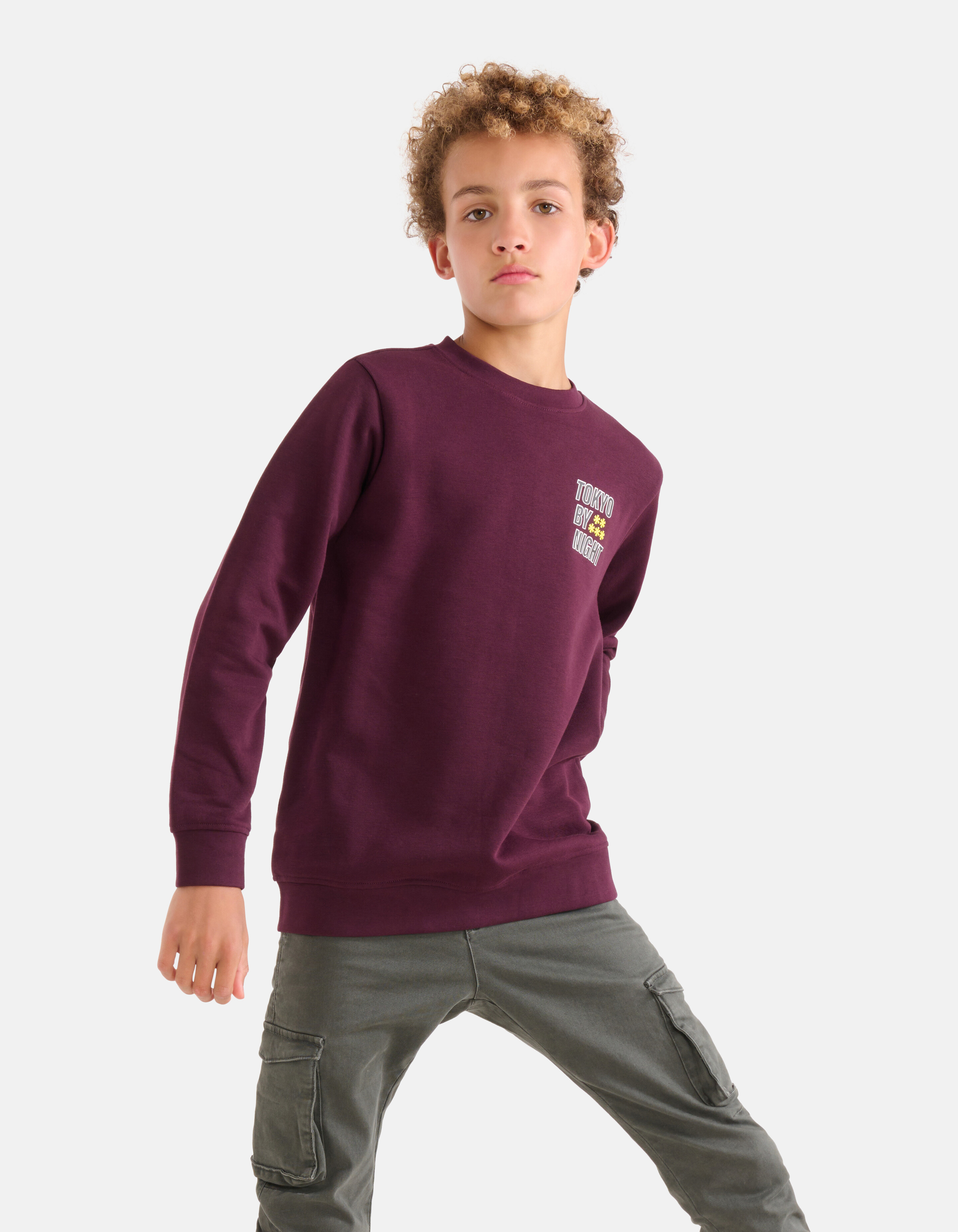 Artwork Pullover Bordeaux SHOEBY BOYS