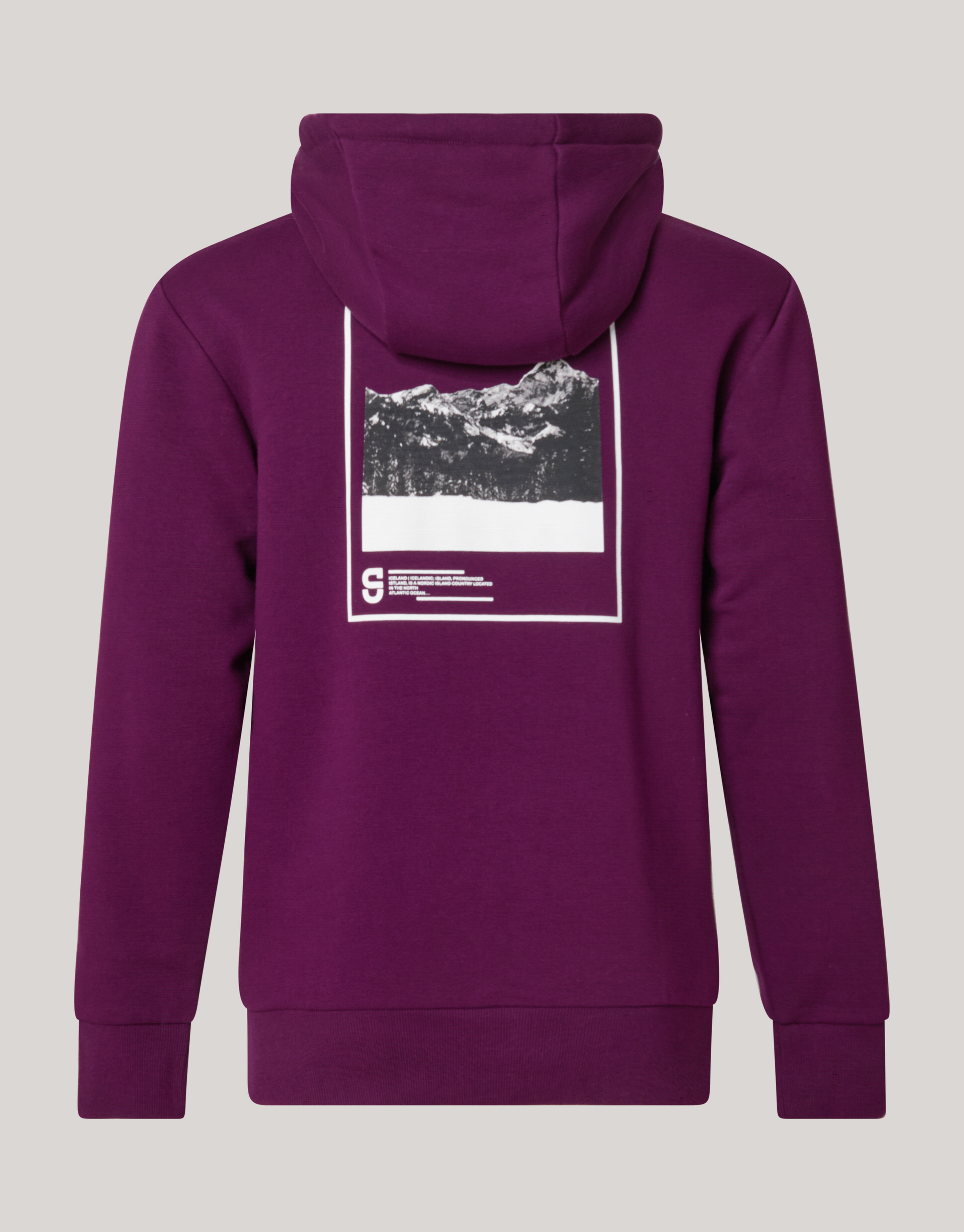 Artwork Hoodie Rot SHOEBY MEN