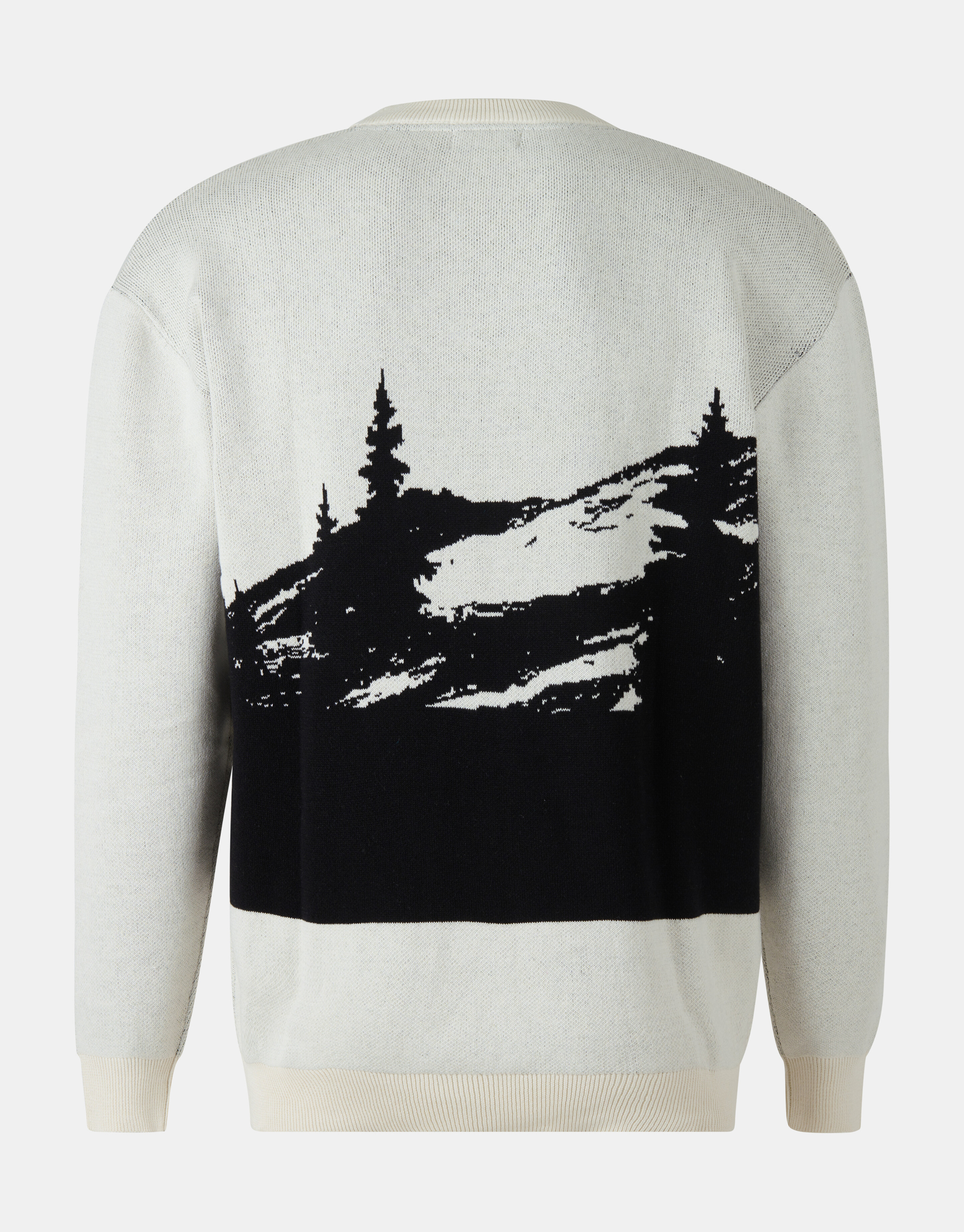 Pullover mit grafischem Aufdruck SHOEBY MEN