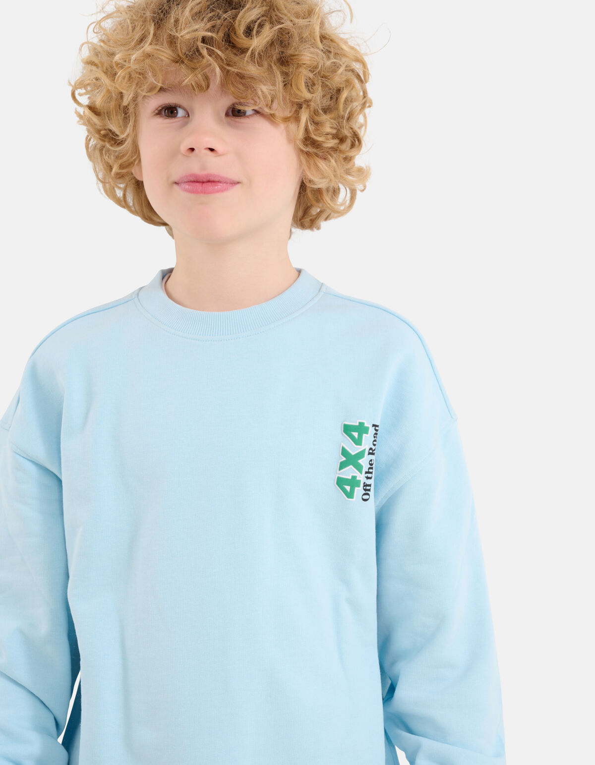 Artwork Pullover Hellblau SHOEBY BOYS