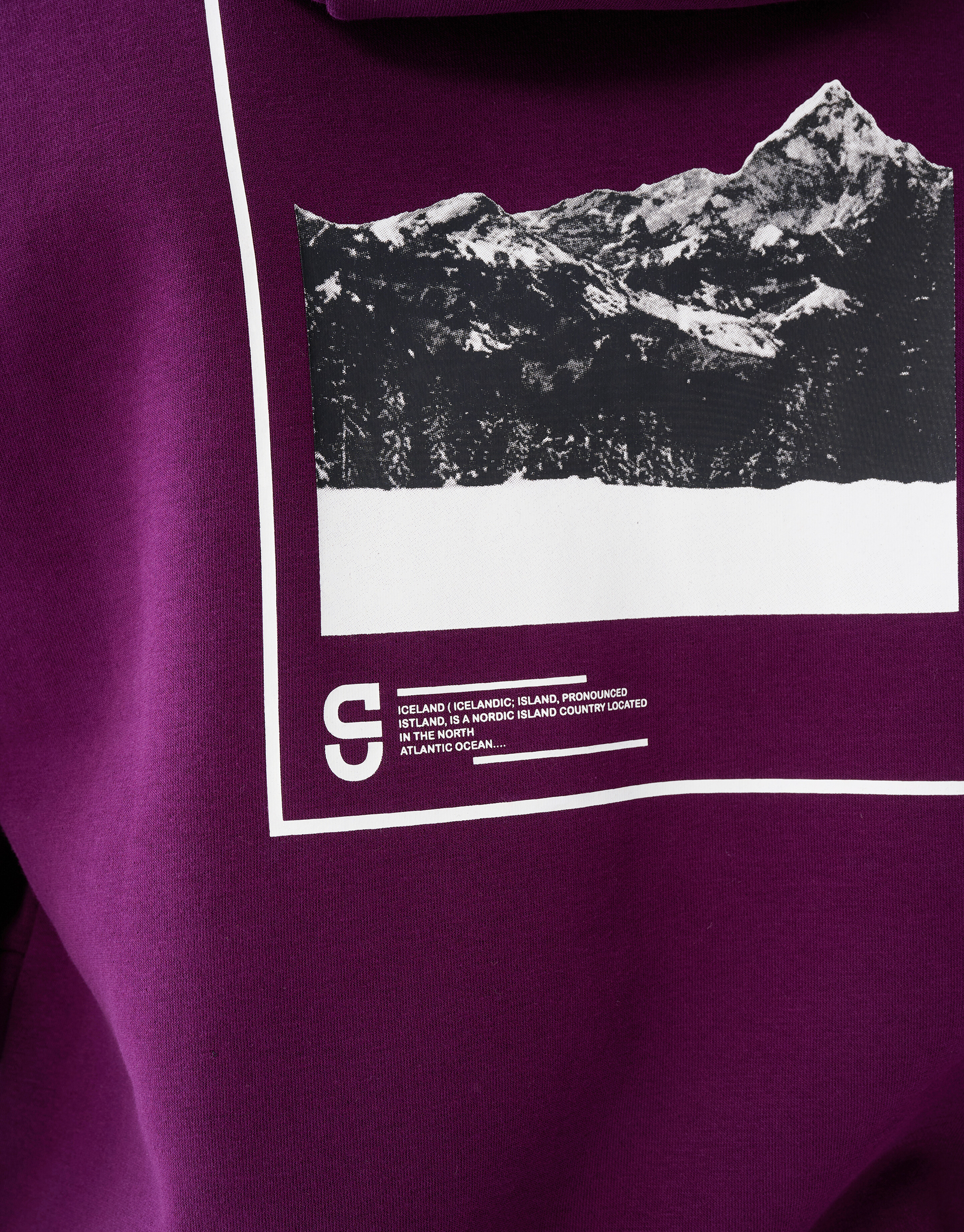 Artwork Hoodie Rot SHOEBY MEN