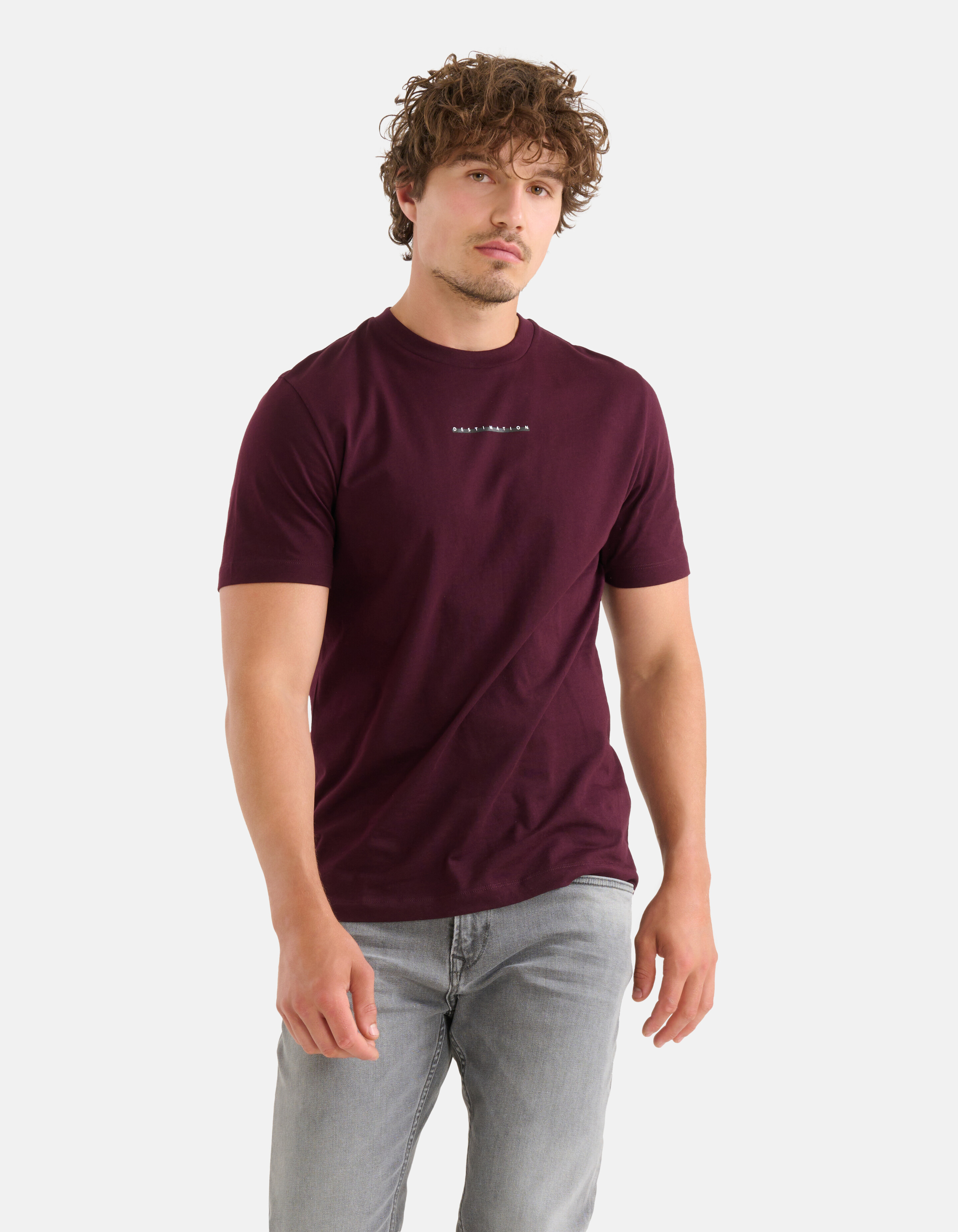 Kunstwerk T-shirt Bordeaux SHOEBY MEN
