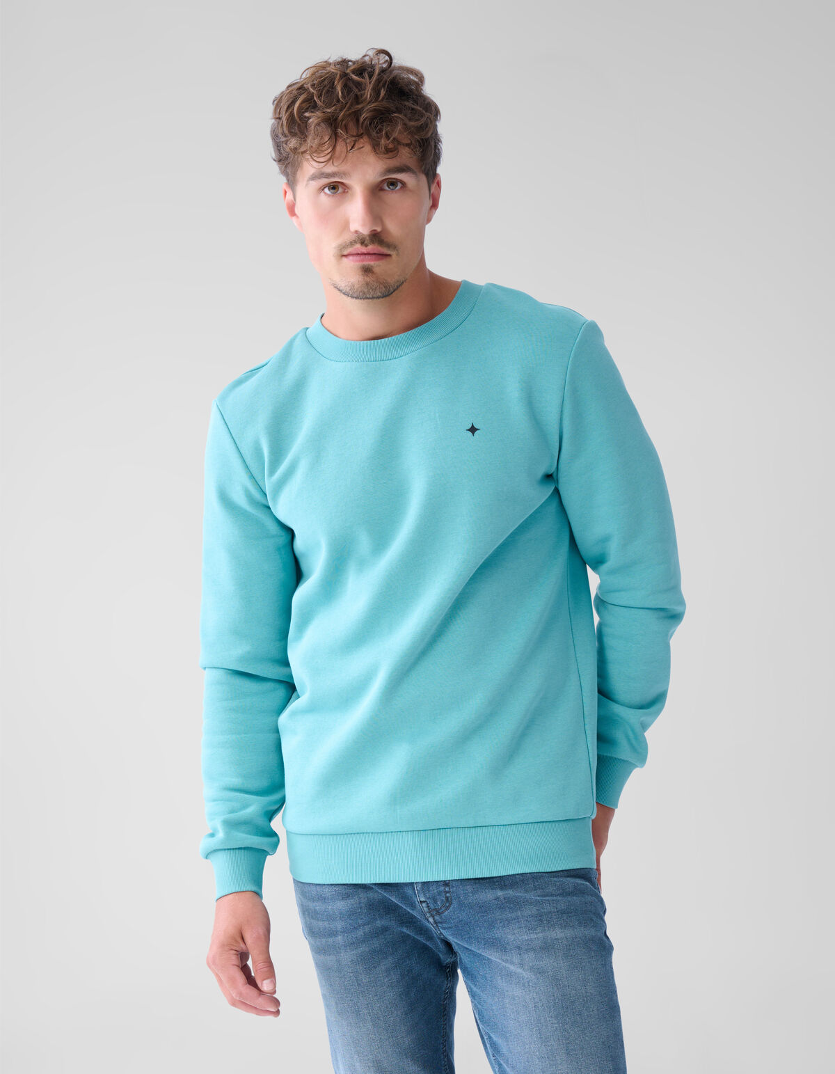 Glitzerpulli Hellgrün SHOEBY MEN
