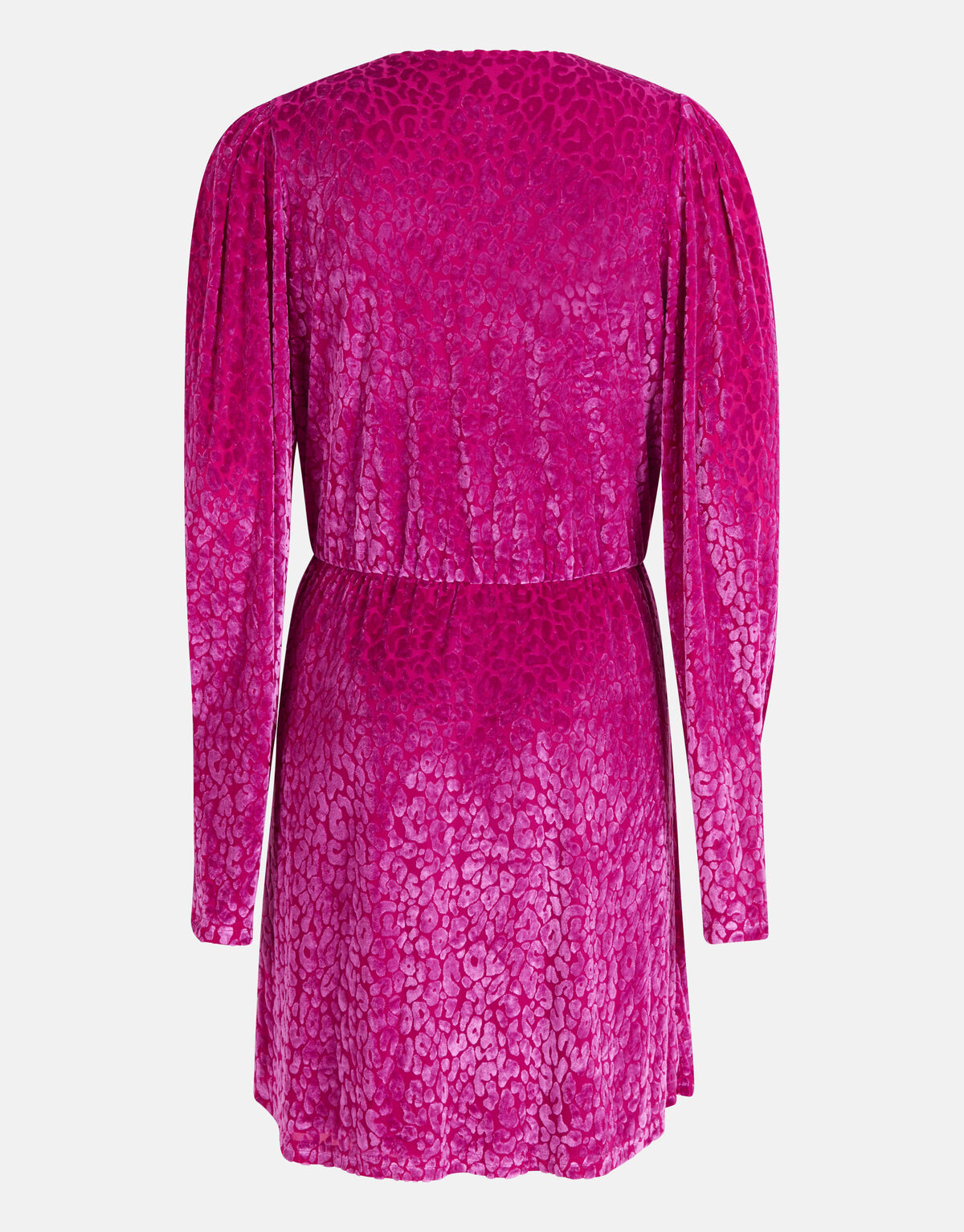 Samt Mesh Kleid Lila SHOEBY WOMEN