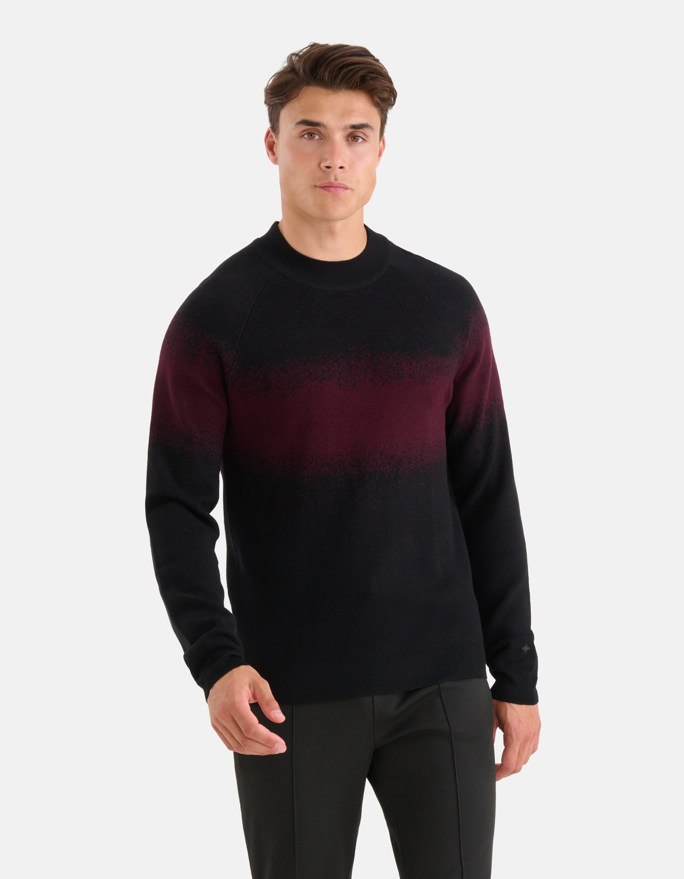 Gradient Trui Bordeaux SHOEBY MEN