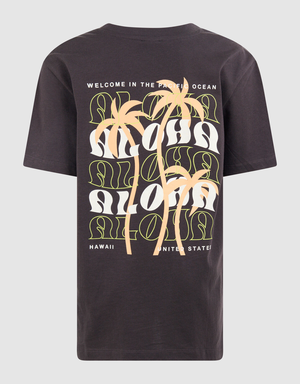 Aloha Artwork T-shirt Dunkelgrau SHOEBY BOYS