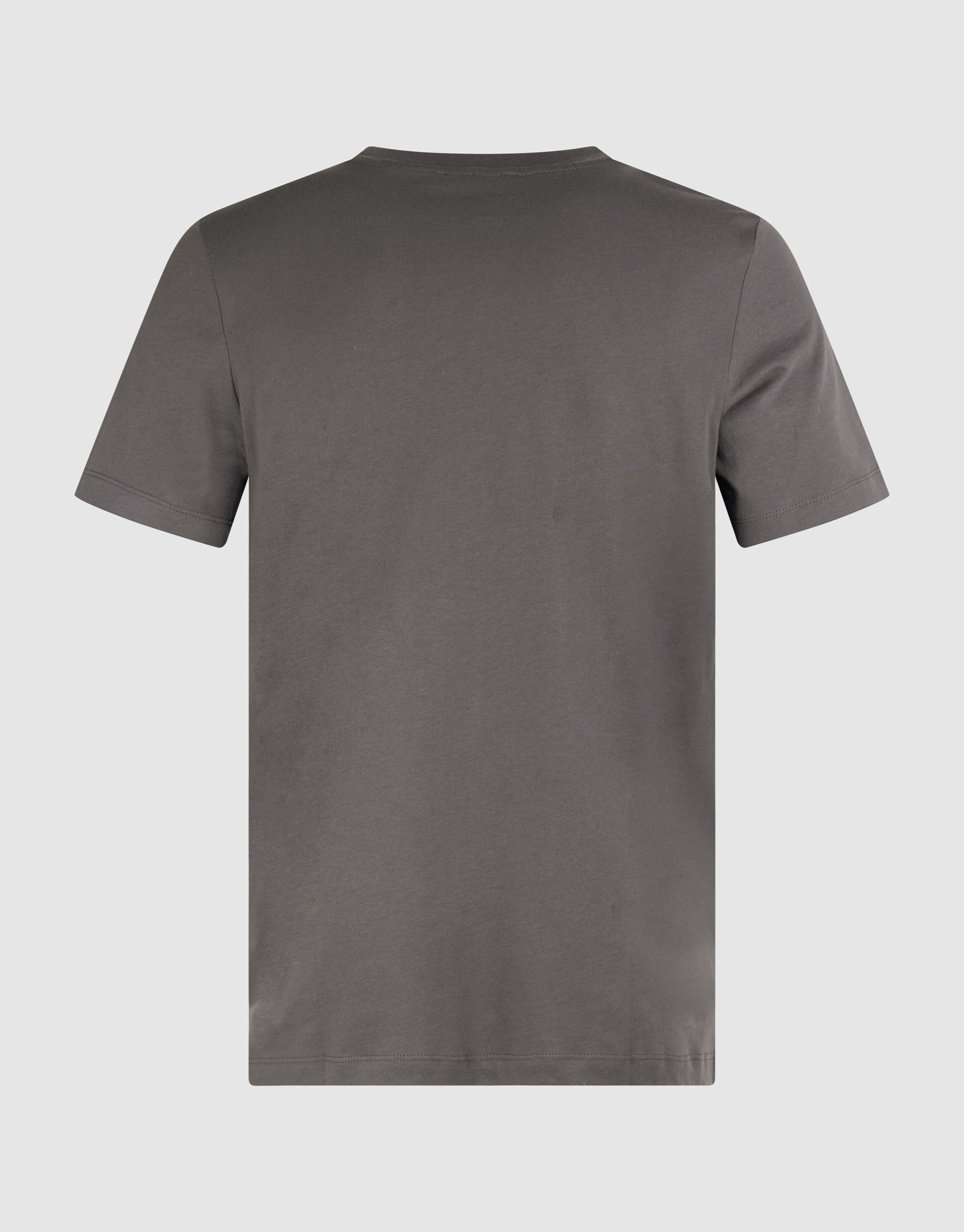 Sparkle Artwork T-shirt Dunkelgrün SHOEBY MEN