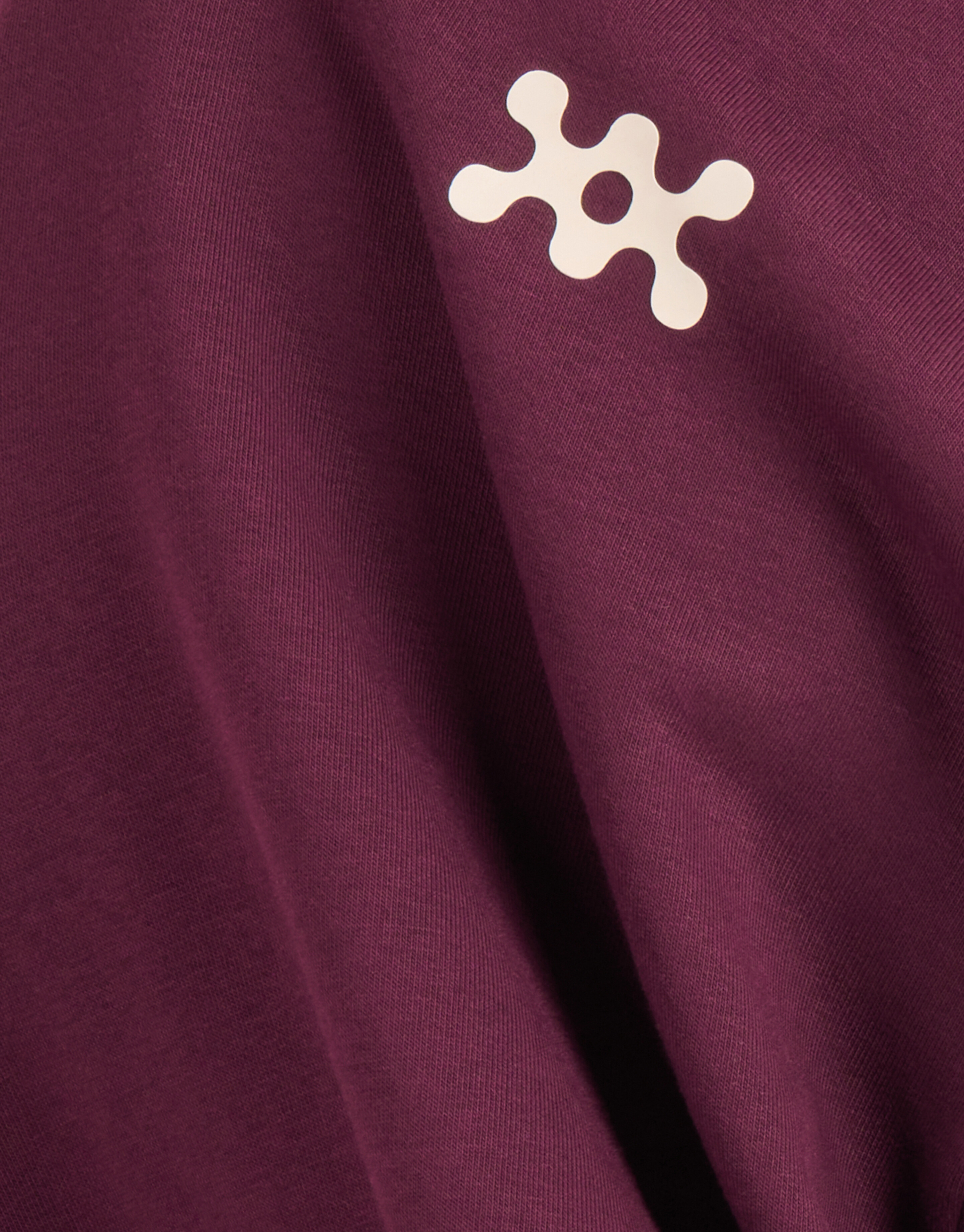 Basic Hoodie Bordeaux SHOEBY BOYS