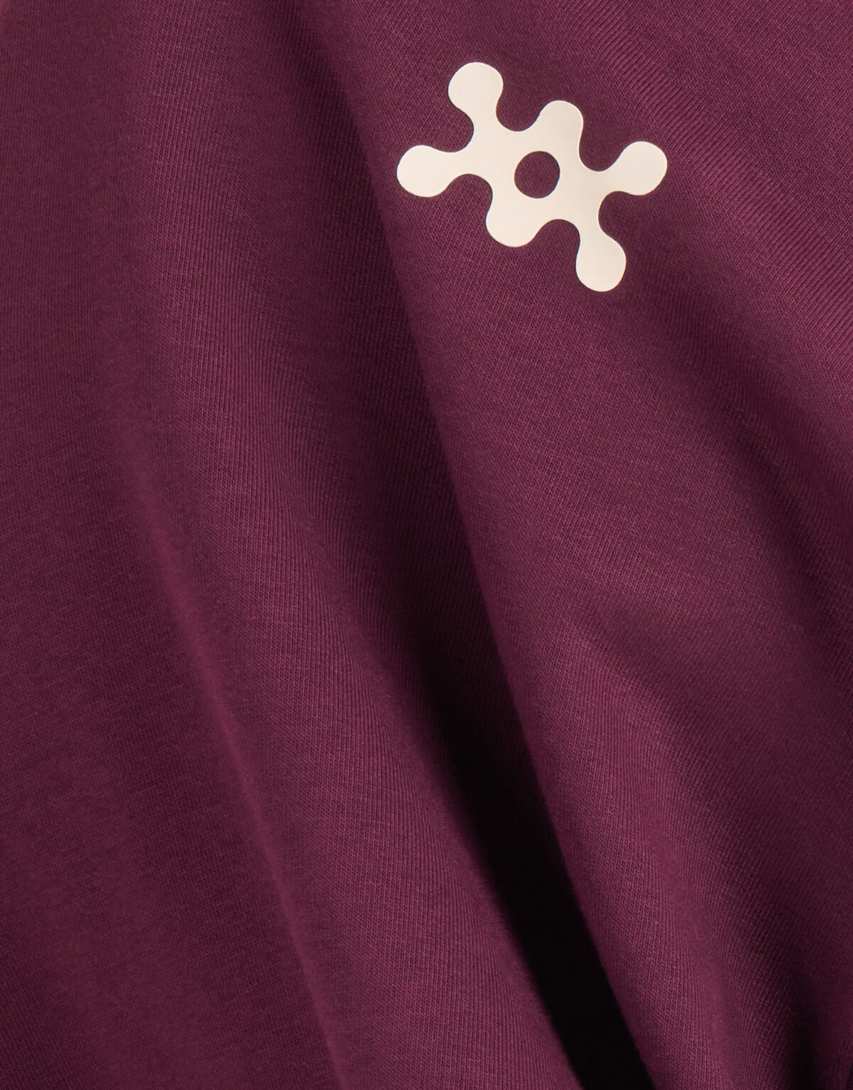 Basis Hoodie Bordeaux SHOEBY BOYS