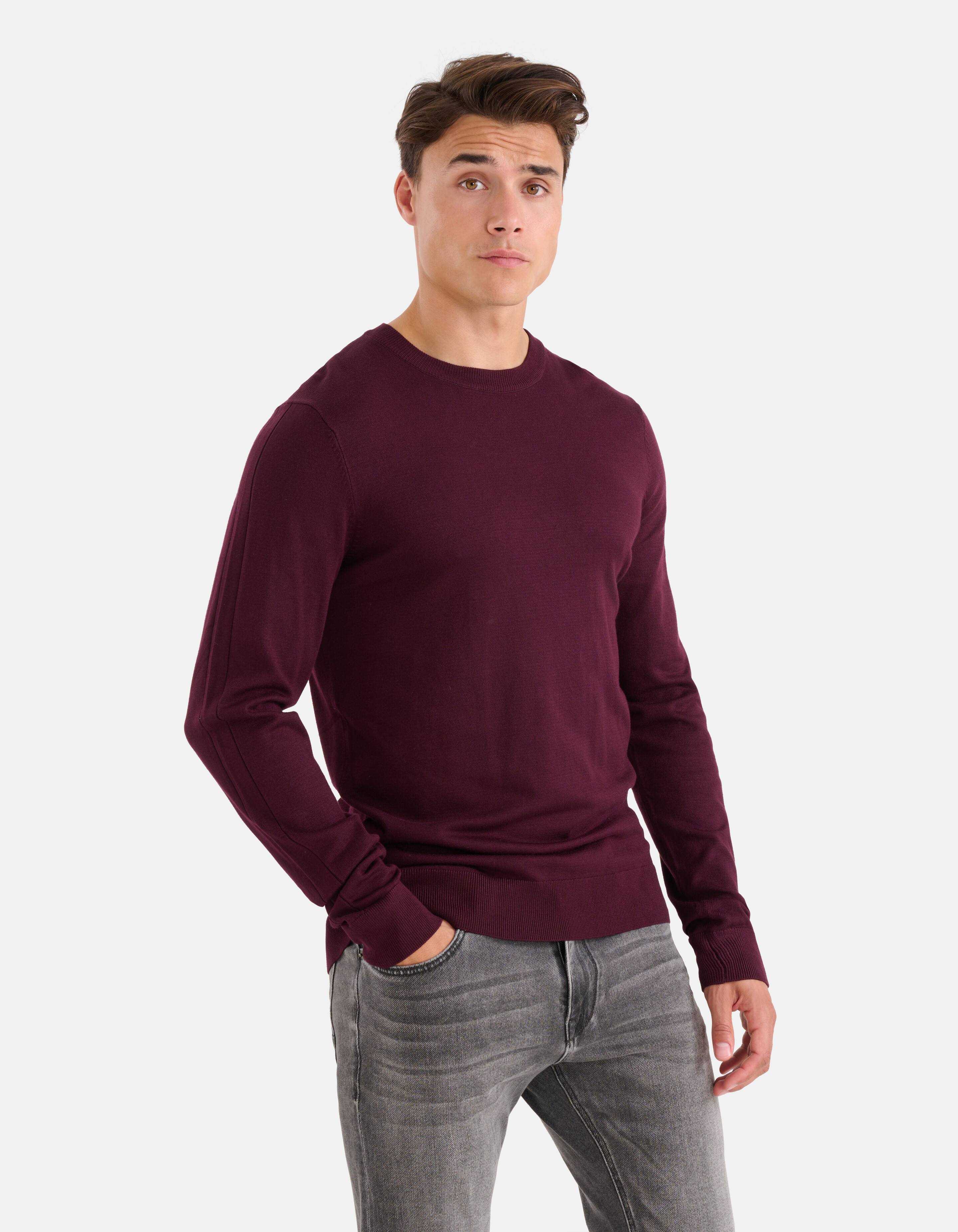 Crewneck Trui Bordeaux SHOEBY MEN
