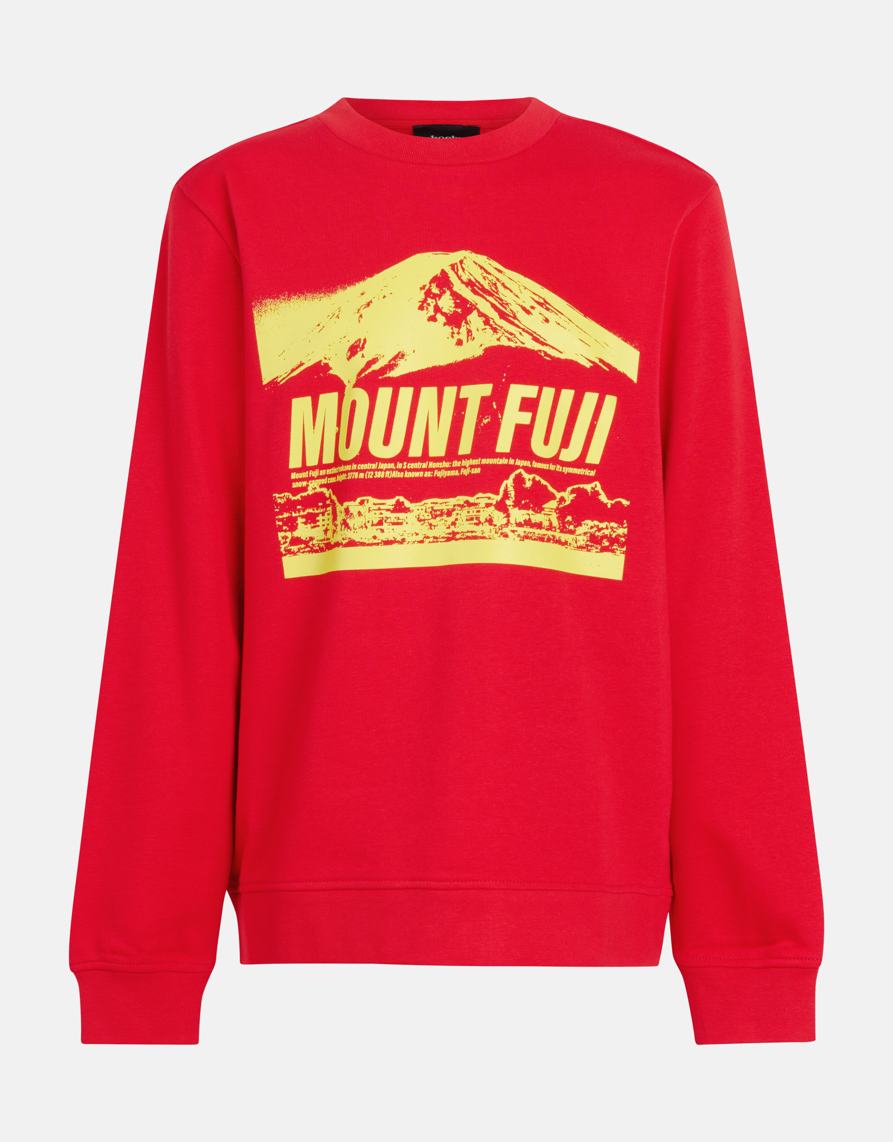 Bedruckter Pullover Rot SHOEBY BOYS