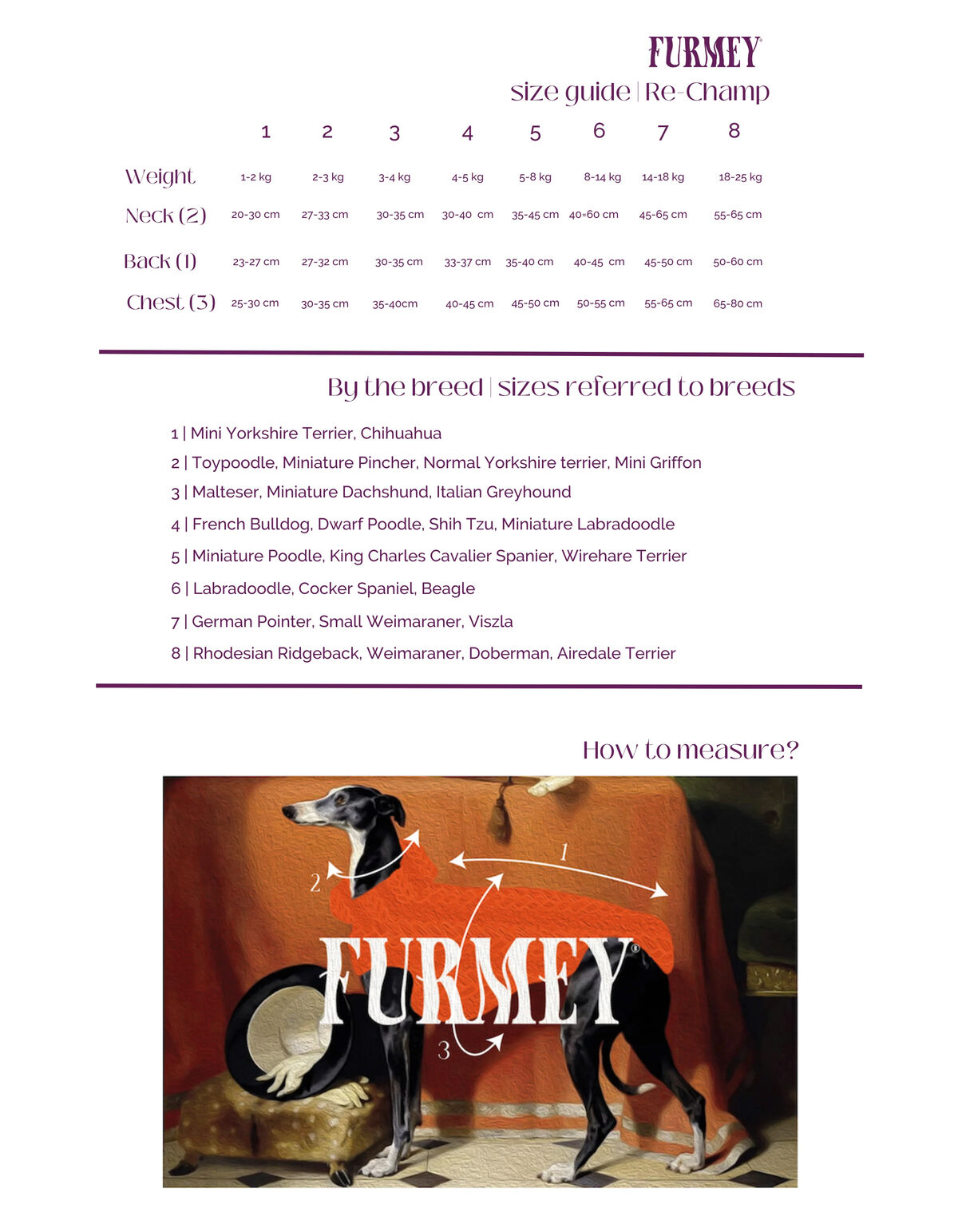 Pailletten Hundepullover Purple SHOEBY ACCESSOIRES