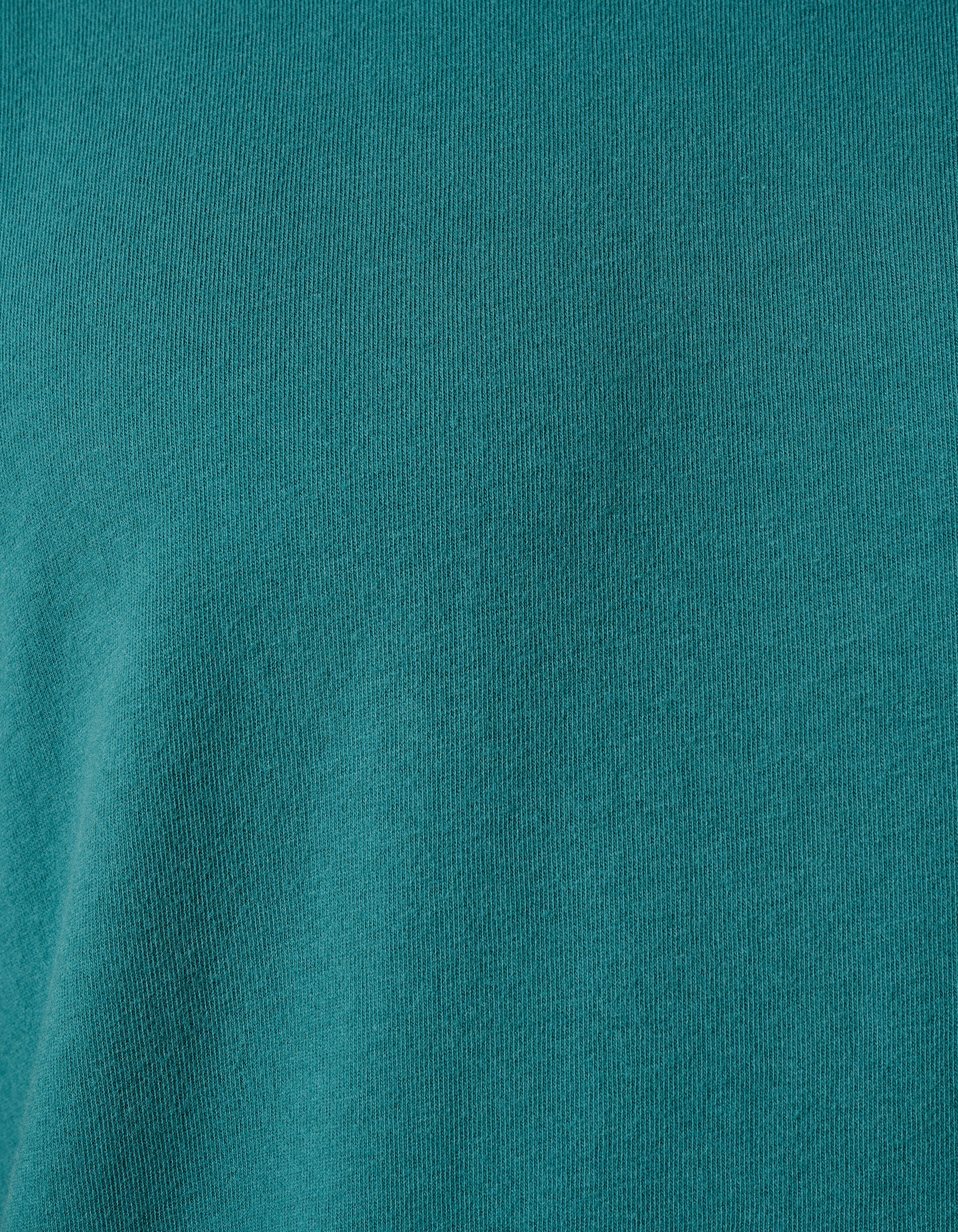 Gebürstetes T-shirt Türkis SHOEBY MEN