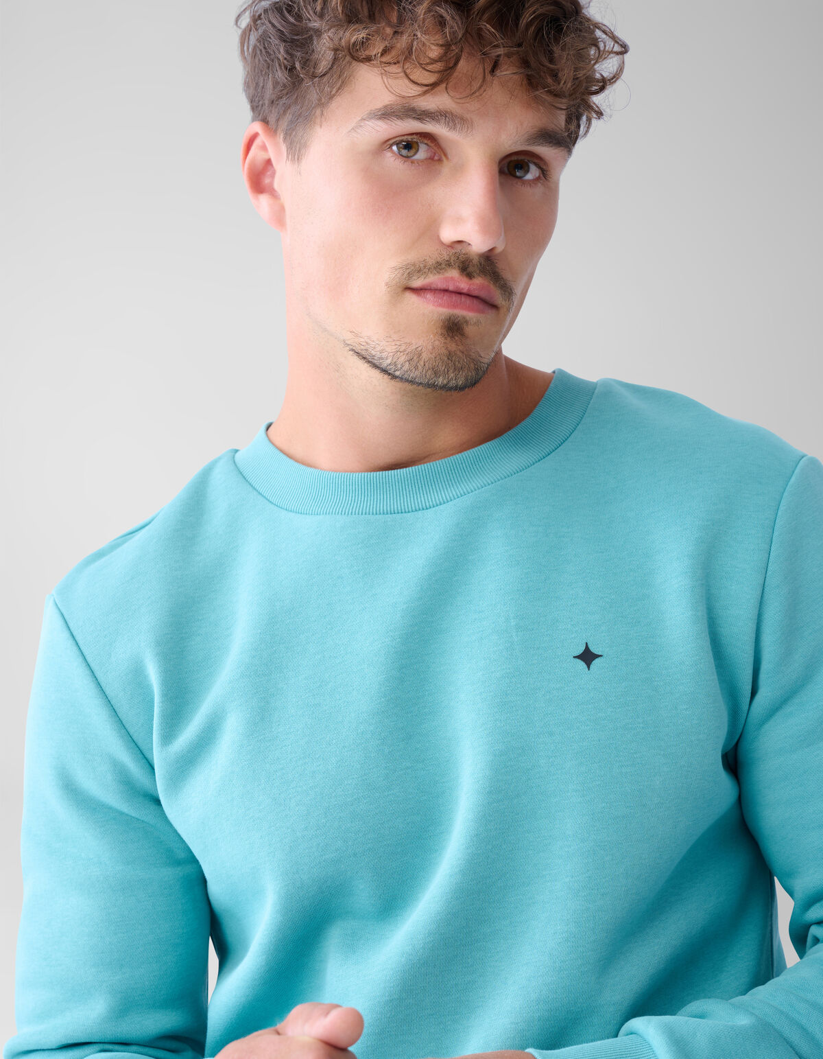 Glitzerpulli Hellgr&uuml;n SHOEBY MEN