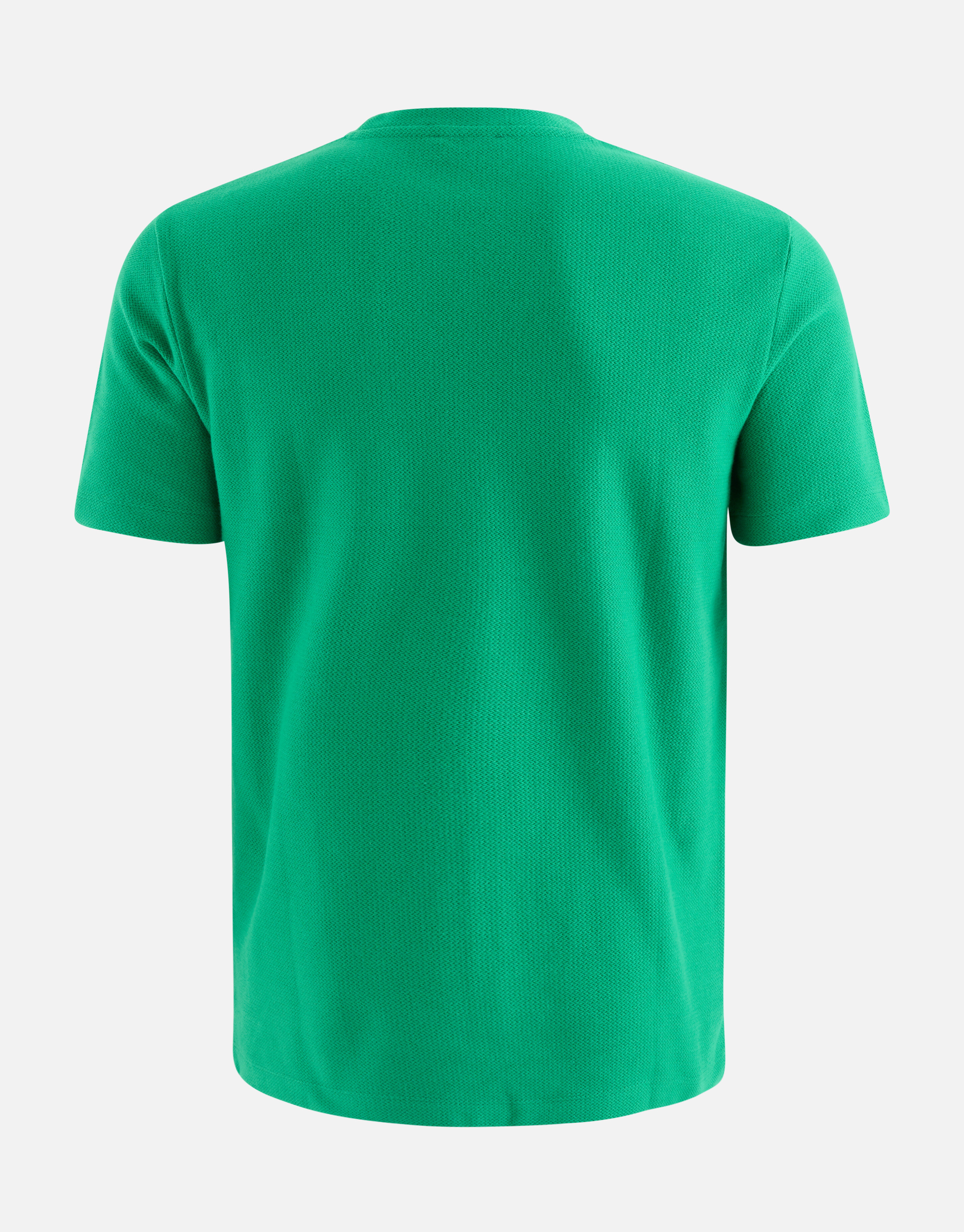 Textur-T-Shirt Grün SHOEBY MEN