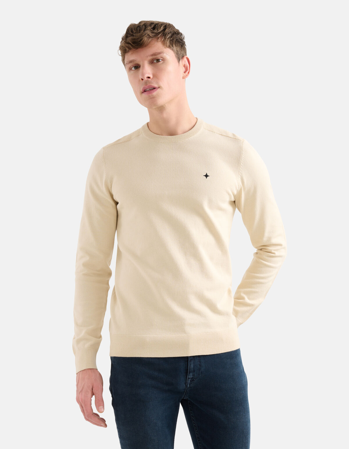 Rippenpullover Beige SHOEBY MEN