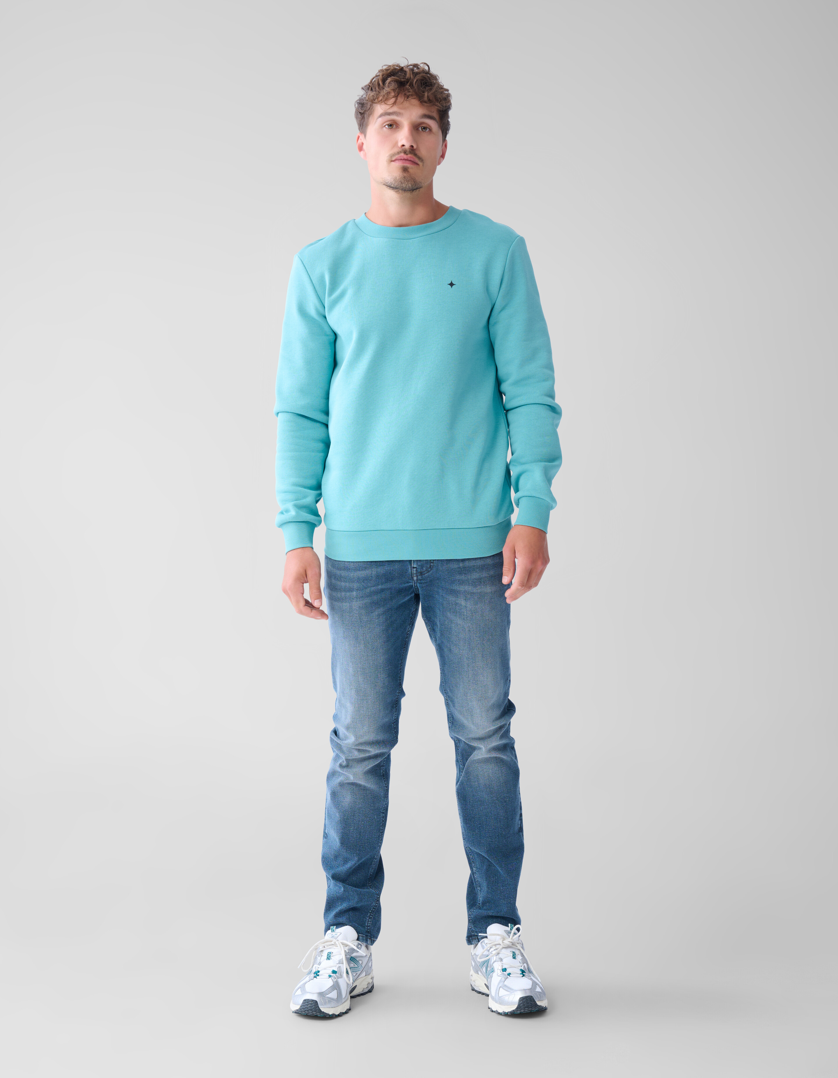Glitzerpulli Hellgrün SHOEBY MEN