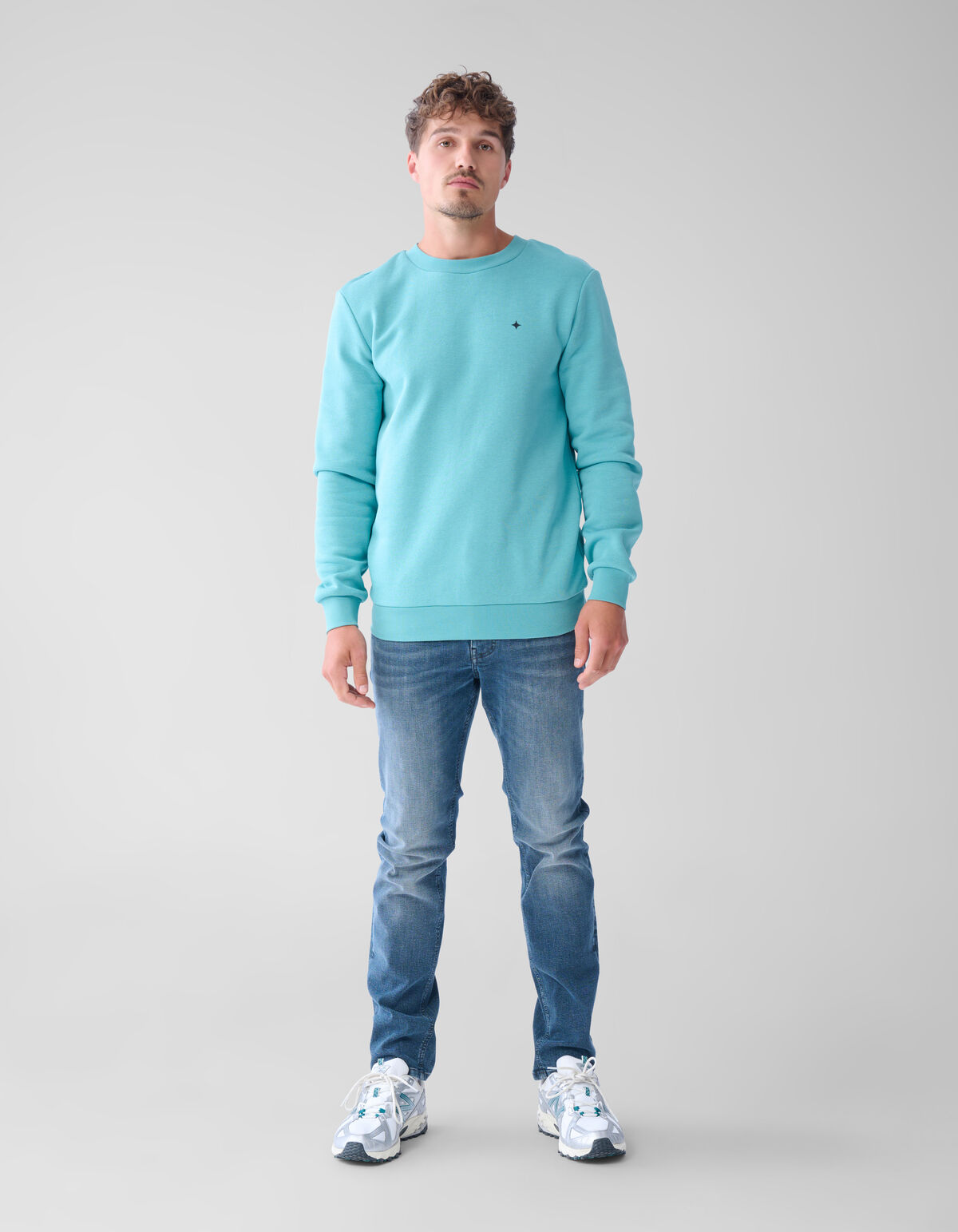 Glitzerpulli Hellgrün SHOEBY MEN