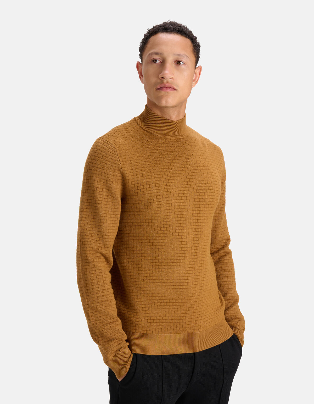 Rollkragenpullover mit Blockmuster Braun SHOEBY MEN