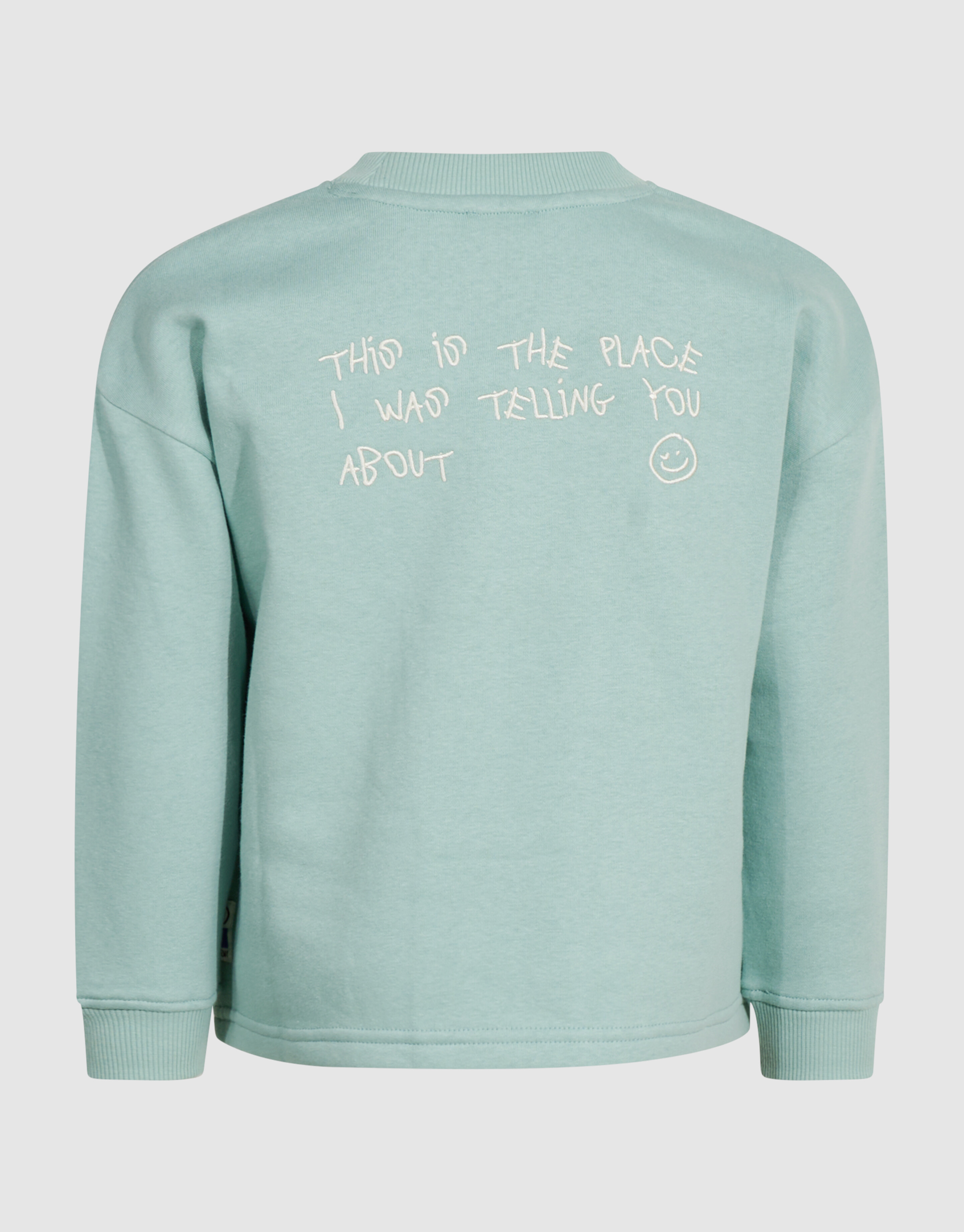 Oversized Artwork-Sweatshirt Hellgr&uuml;n SHOEBY BOYS