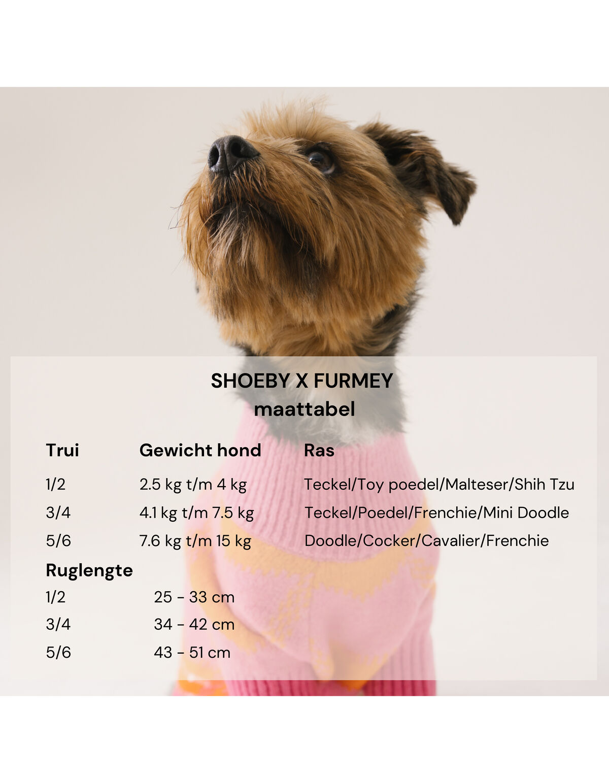 Herz gedruckt Hund Pullover Off White SHOEBY ACCESSOIRES