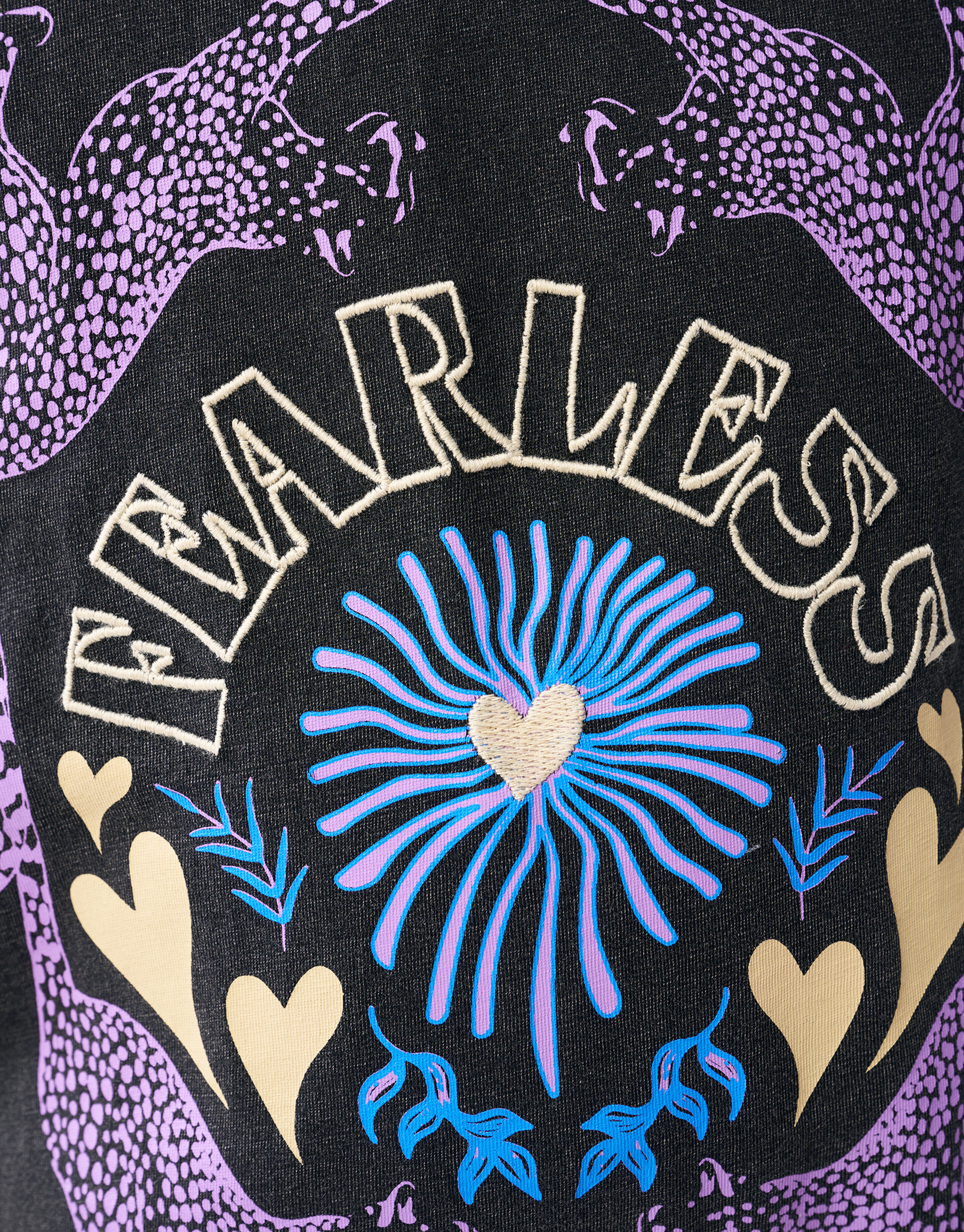 Fearless Artwork T-shirt Dunkelgrau SHOEBY GIRLS