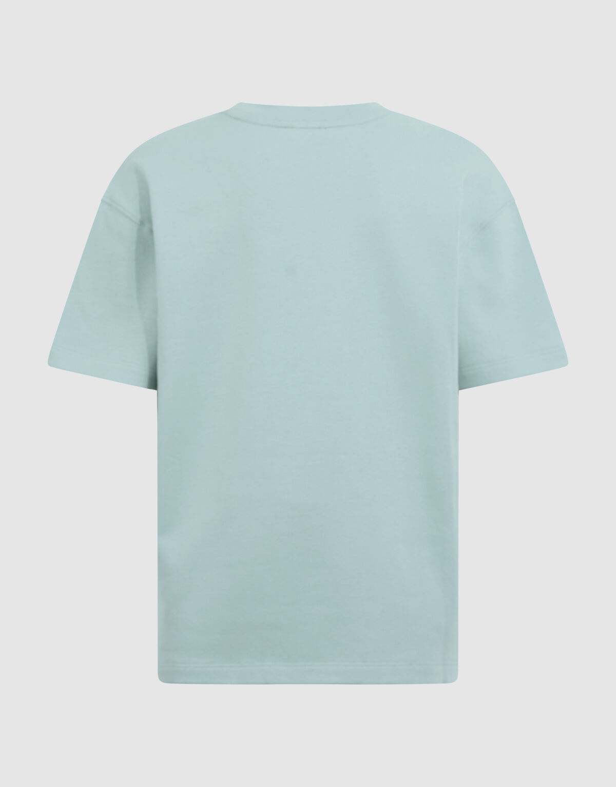 Basis Label T-Shirt in Hellgr&uuml;n SHOEBY BOYS
