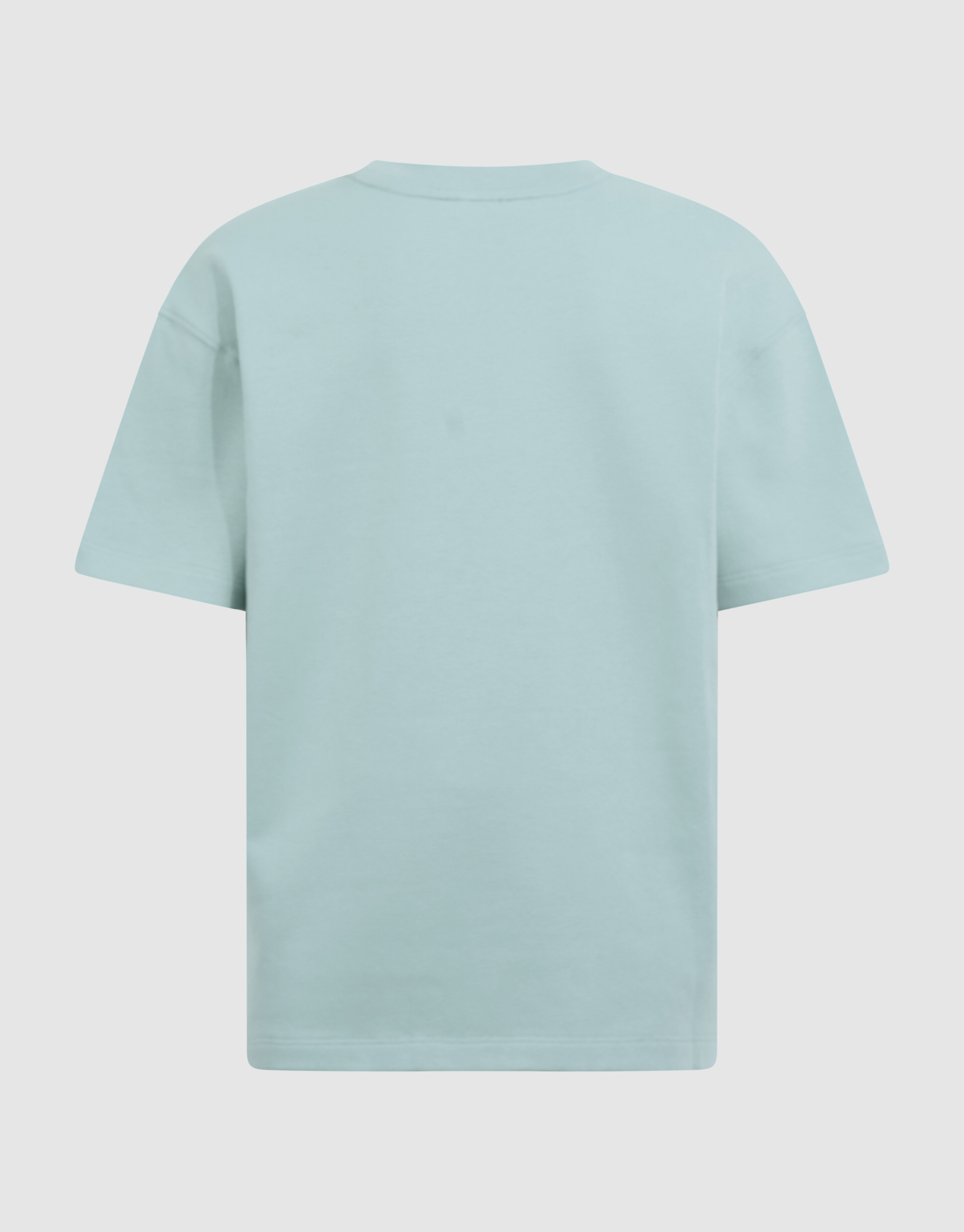 Basis Label T-Shirt in Hellgr&uuml;n SHOEBY BOYS