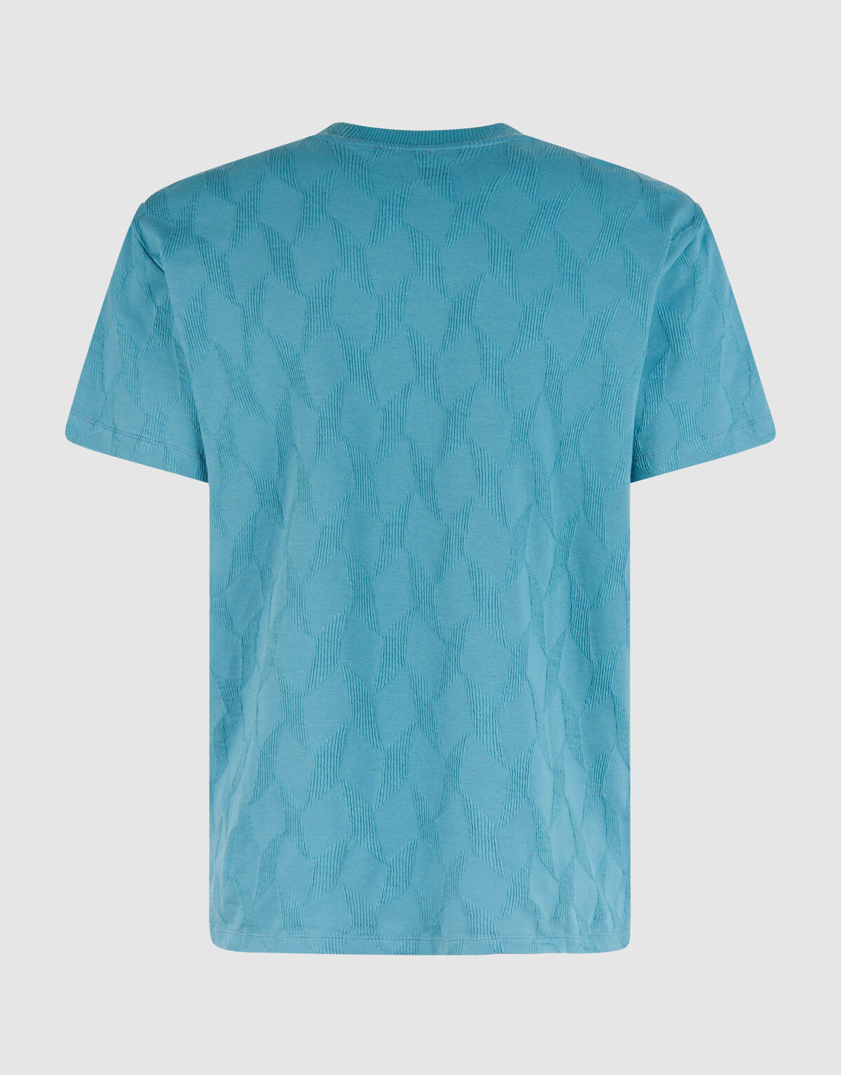Structuur T-shirt Blauw SHOEBY MEN