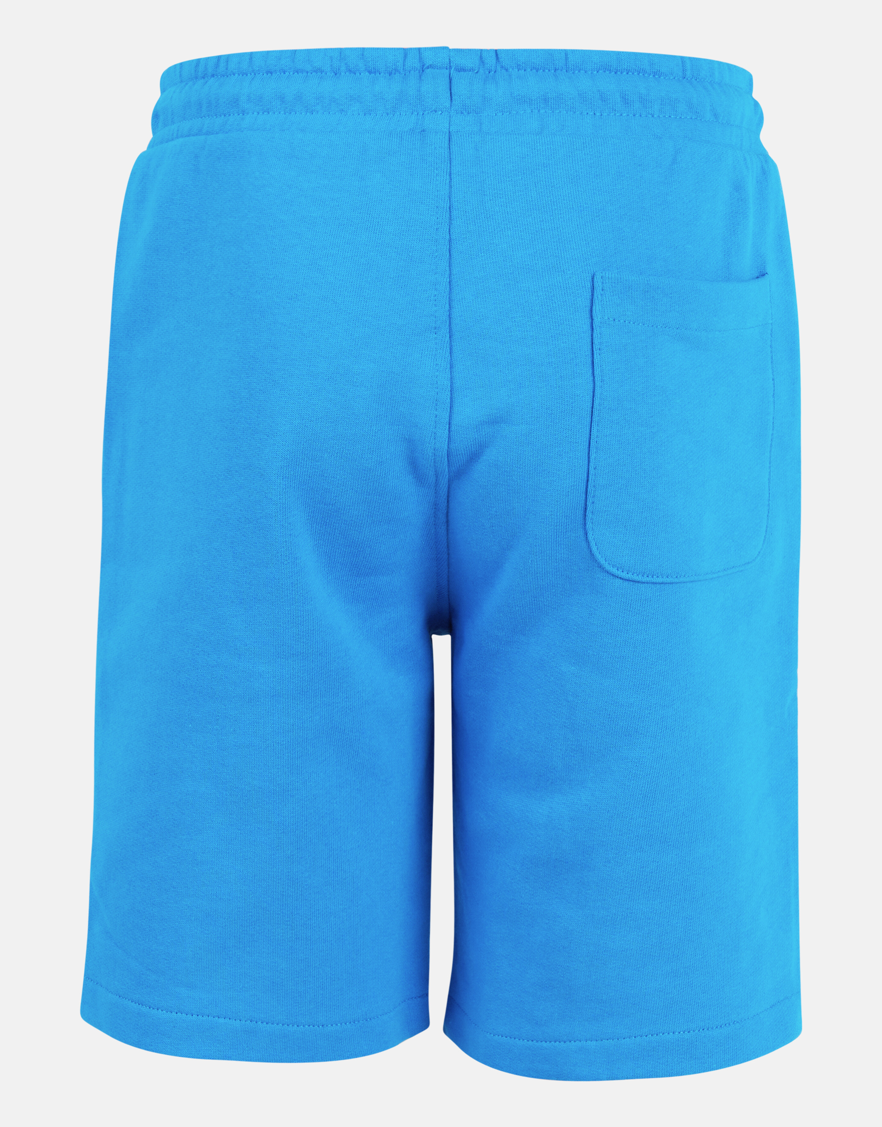 Bedruckte Shorts blau SHOEBY BOYS