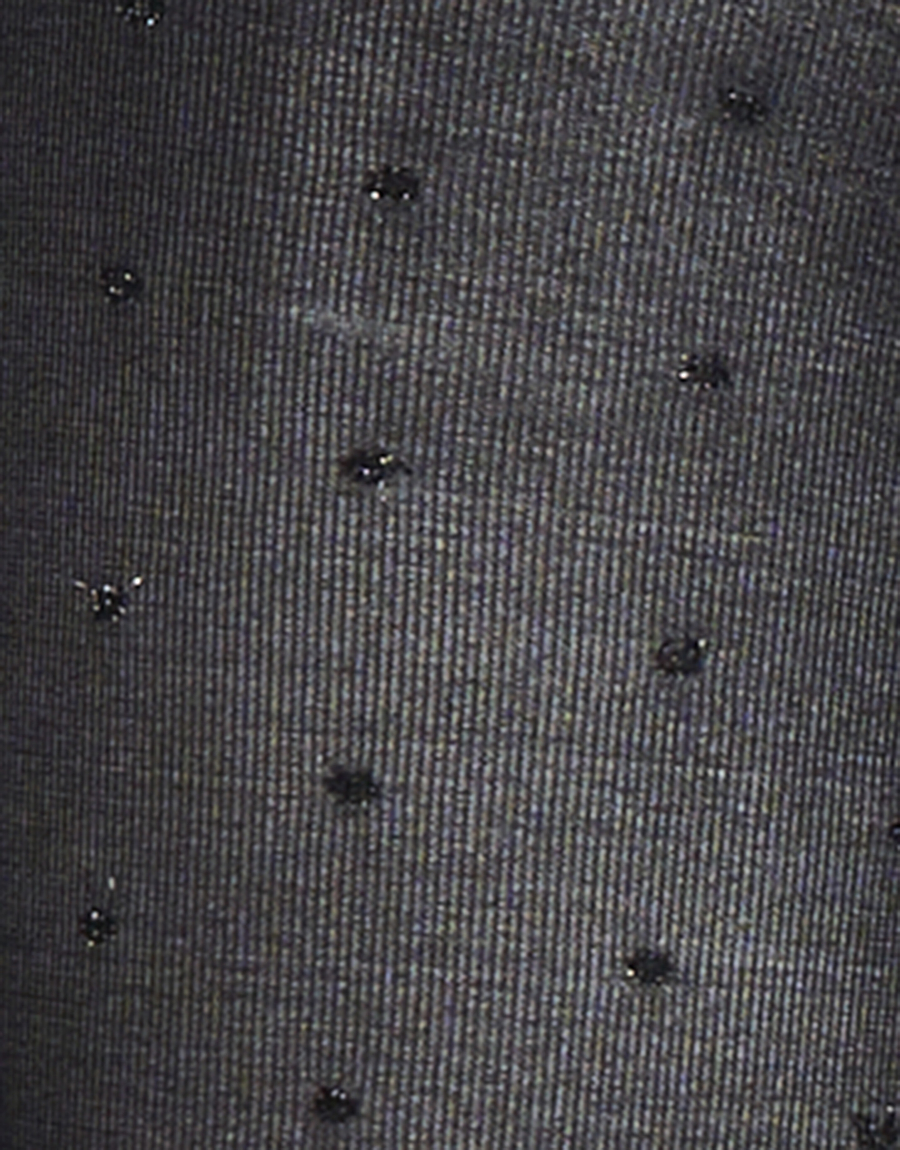 Lurex-Punkt-Höschen 40 Denier SHOEBY ACCESSOIRES