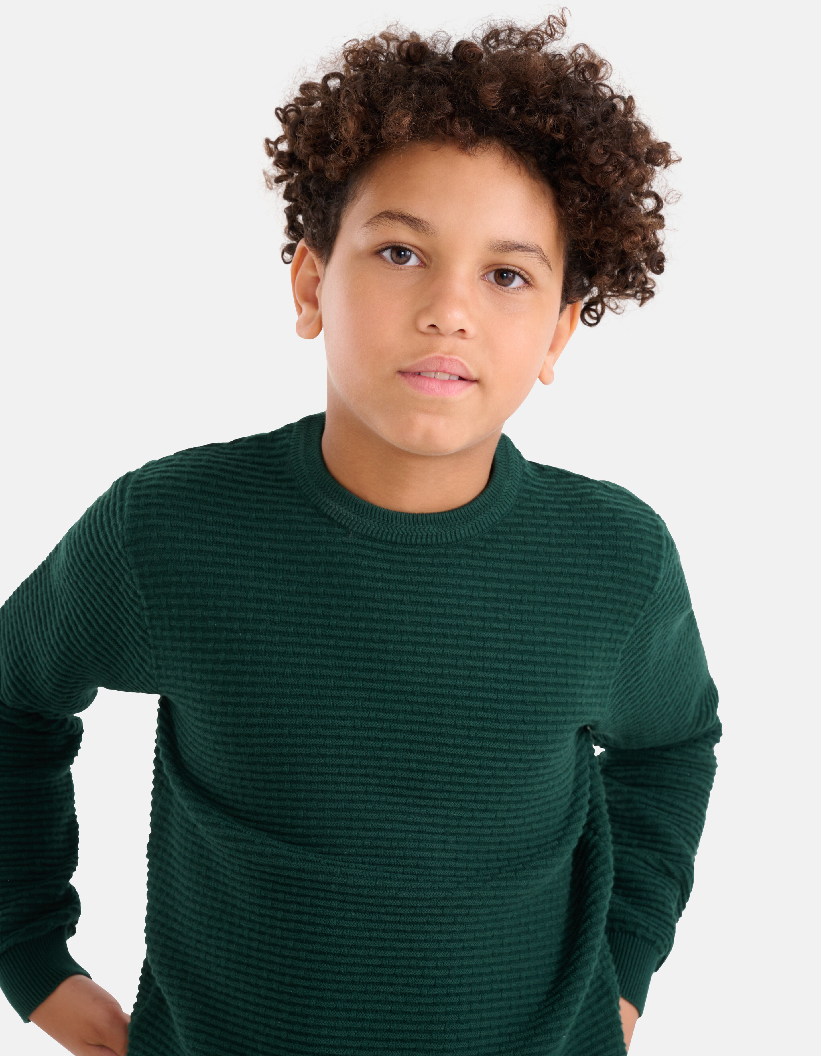 Strukturpullover Dunkelgrün SHOEBY BOYS