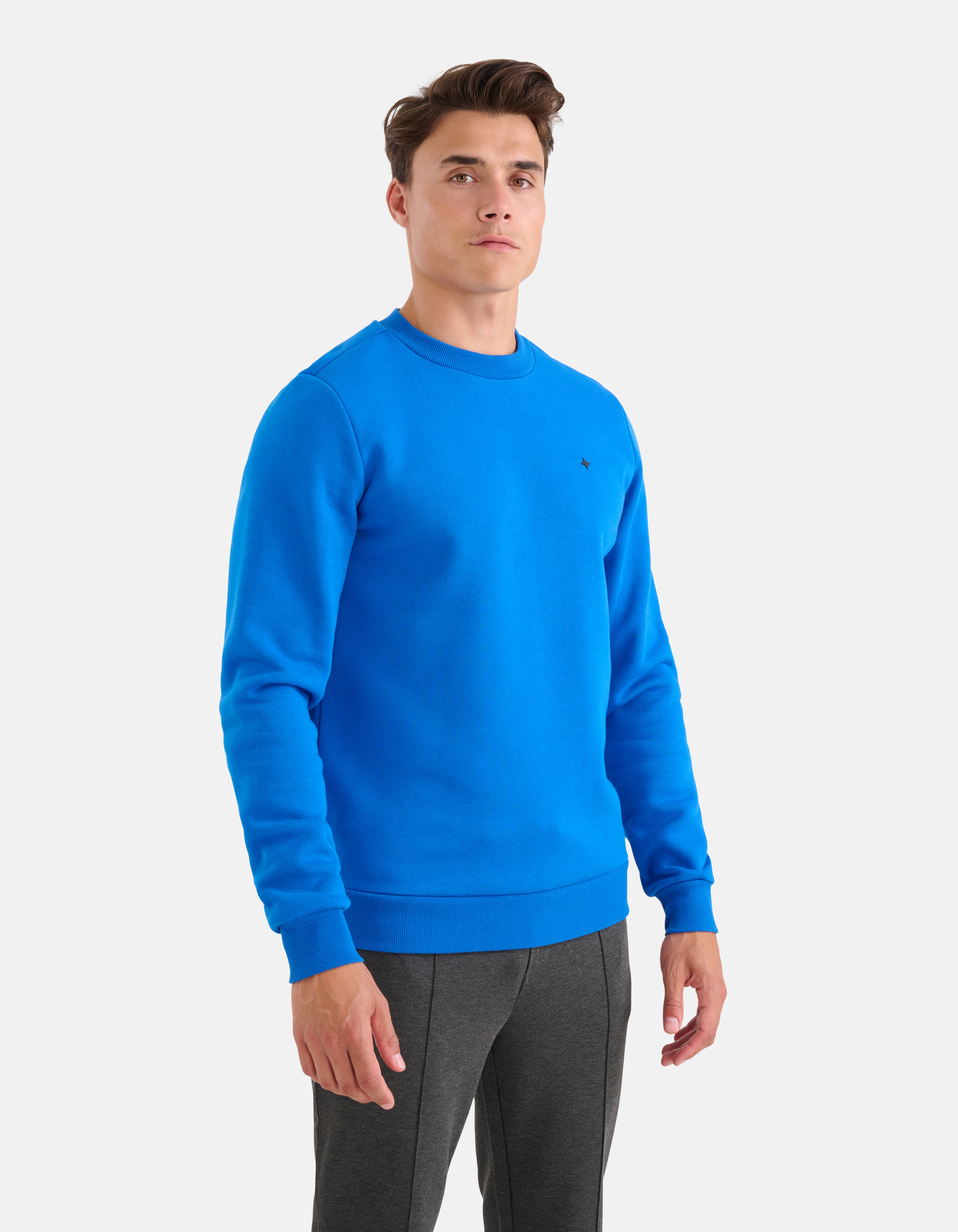 Glitzernder Pullover Blau SHOEBY MEN