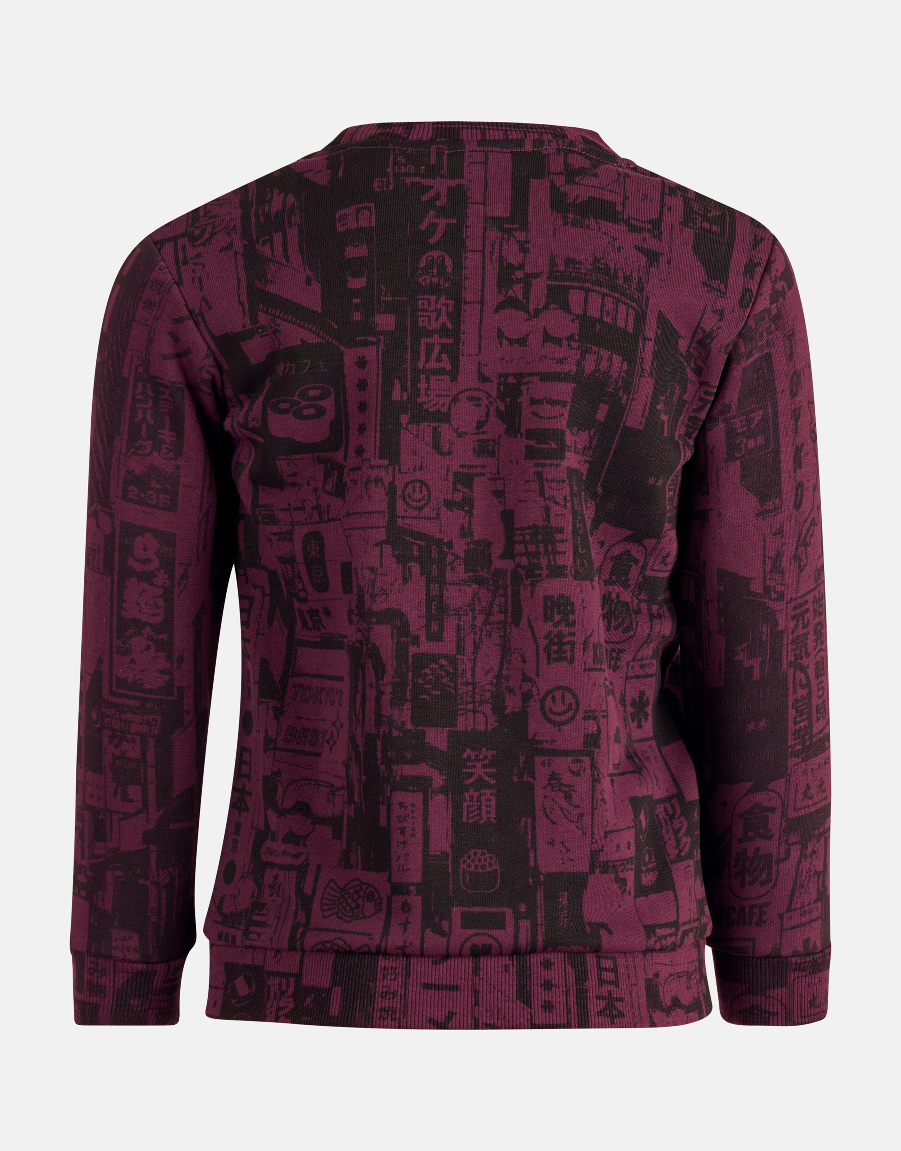 Printed Sweater Bordeaux SHOEBY BOYS