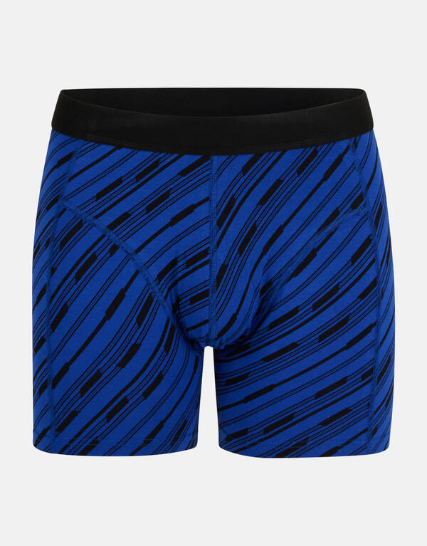Gestreifte Boxershorts Blau SHOEBY ACCESSOIRES