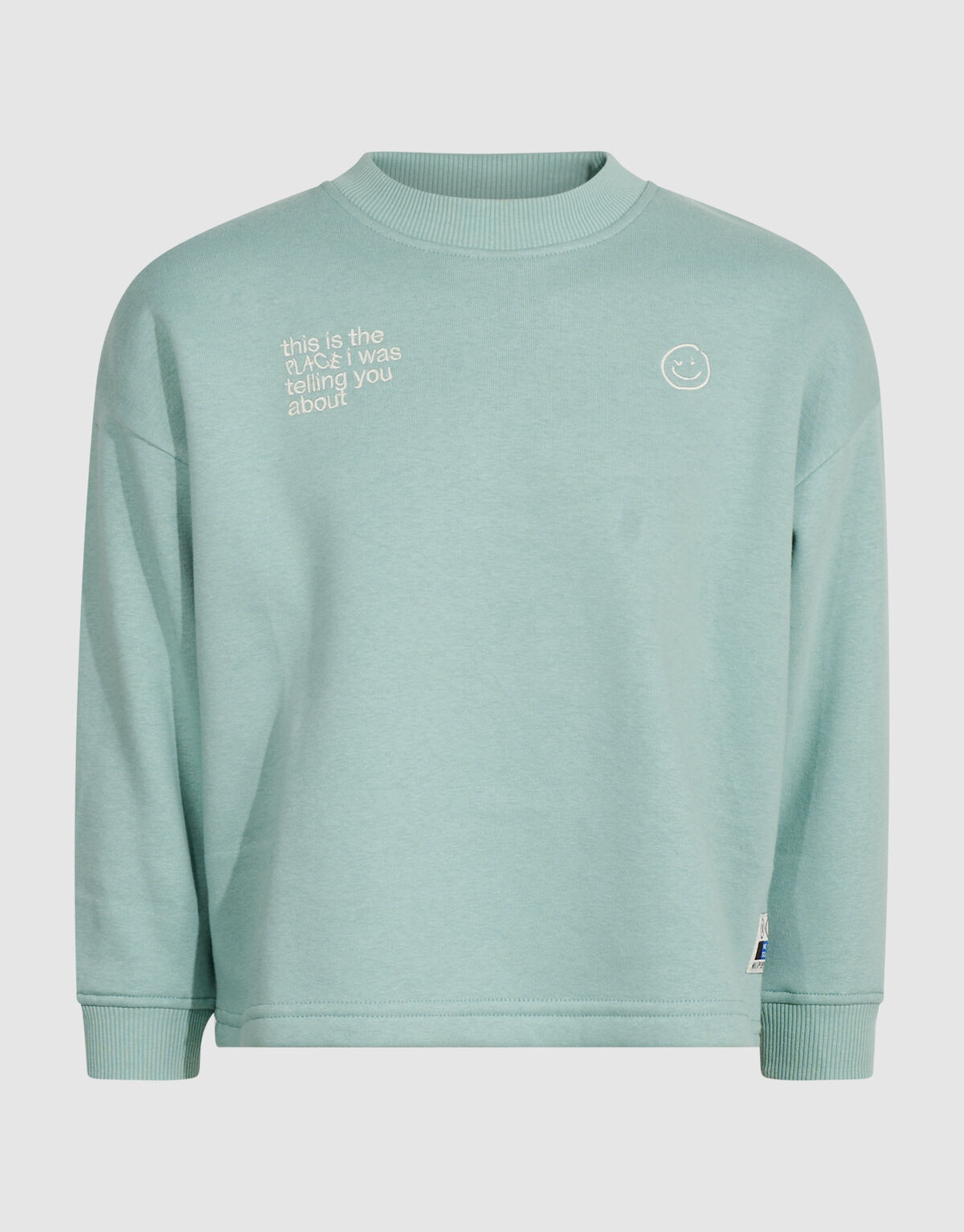Oversized Artwork-Sweatshirt Hellgr&uuml;n SHOEBY BOYS