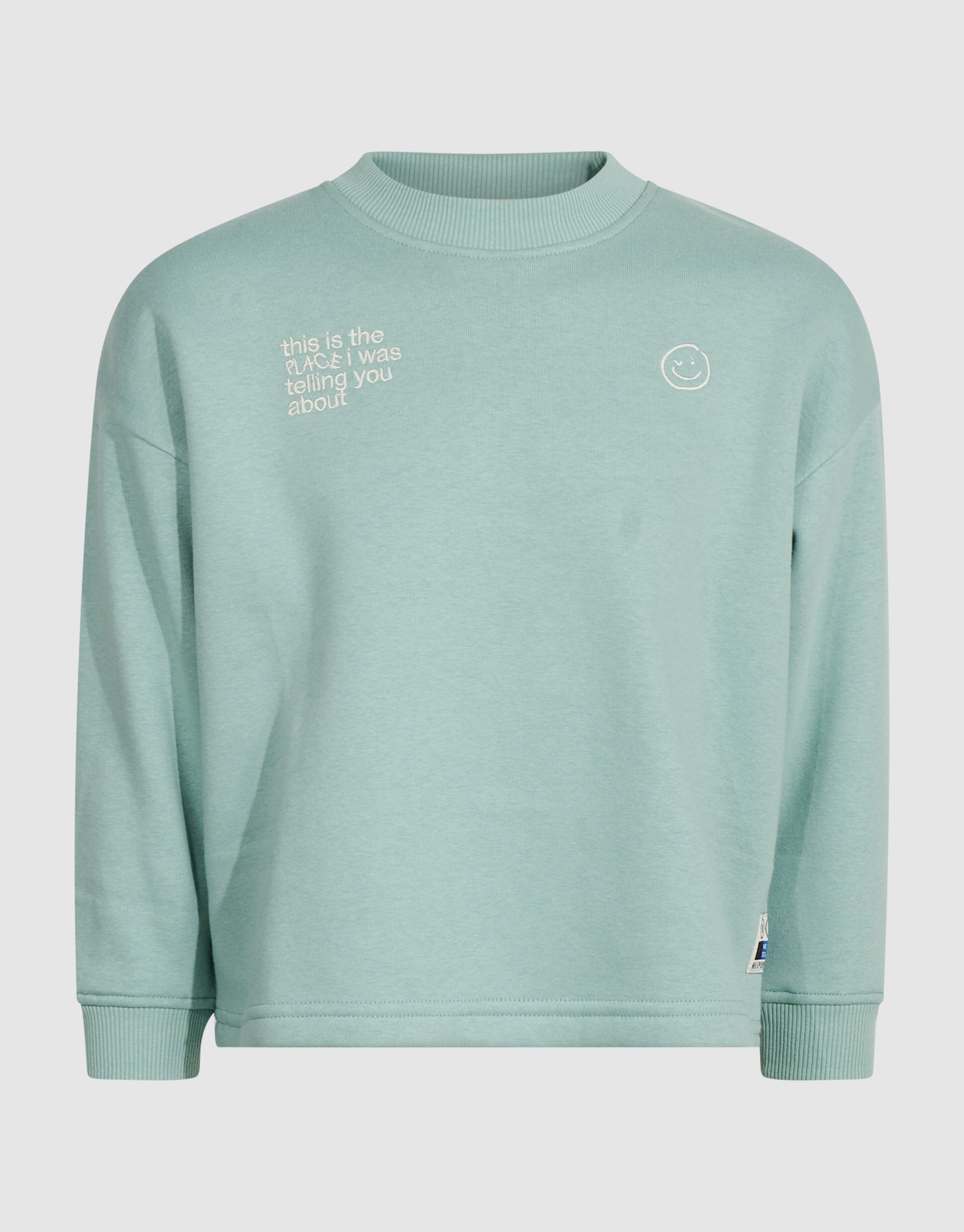 Oversized Artwork-Sweatshirt Hellgr&uuml;n SHOEBY BOYS