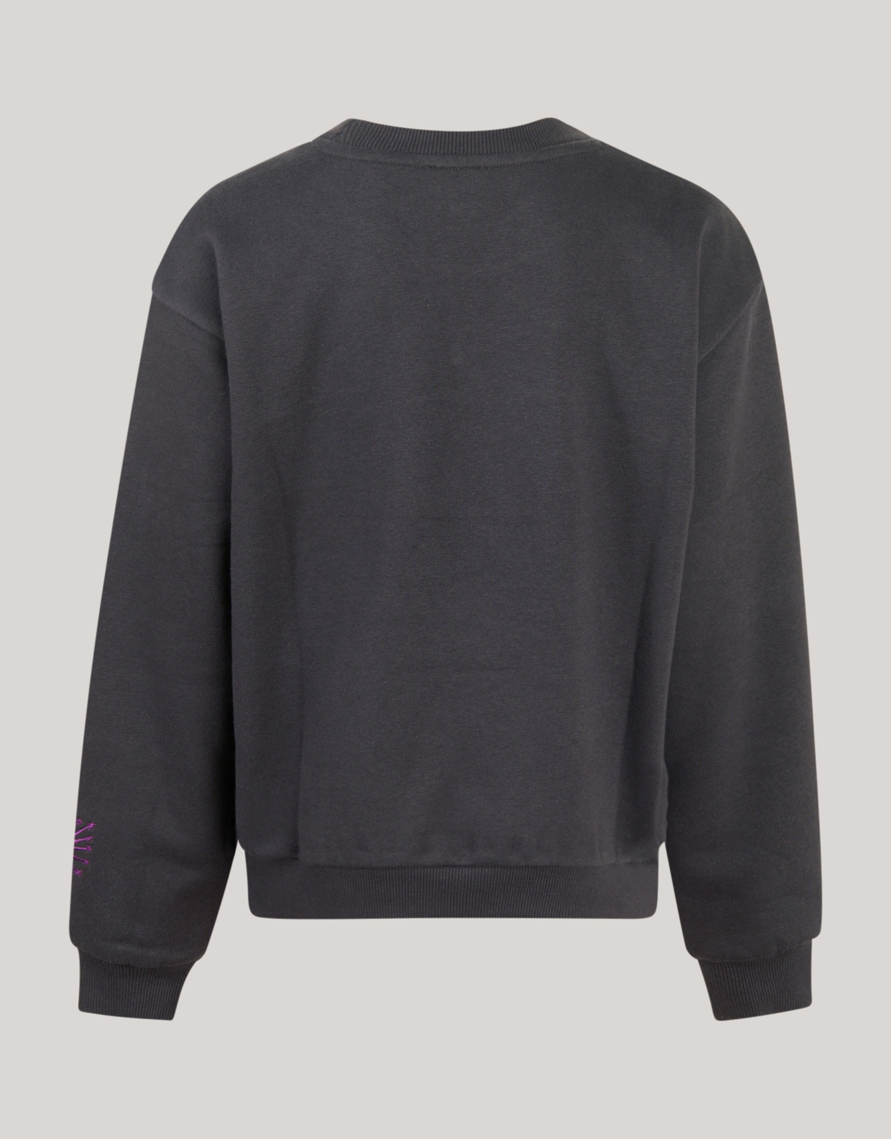 Artwork Pullover Dunkelgrau SHOEBY GIRLS
